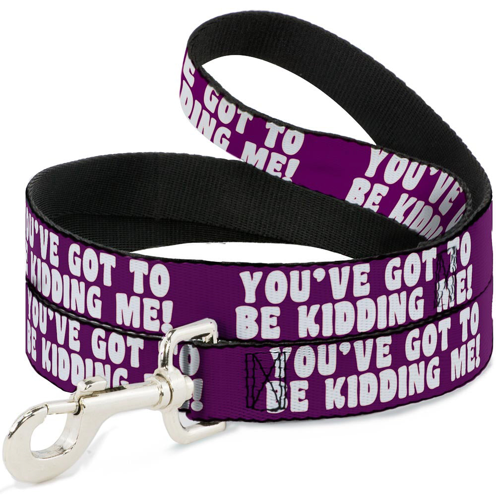 Dog Leash - YOU'VE GOT TO BE KIDDING ME! Purple/White Dog Leashes Buckle-Down