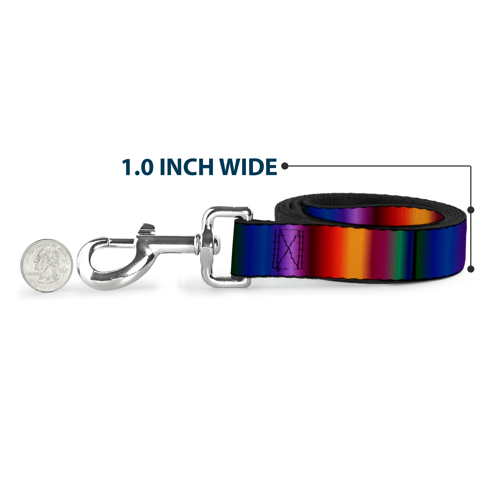 Dog Leash - Zarape3 Vertical Multi Color Fade Dog Leashes Buckle-Down