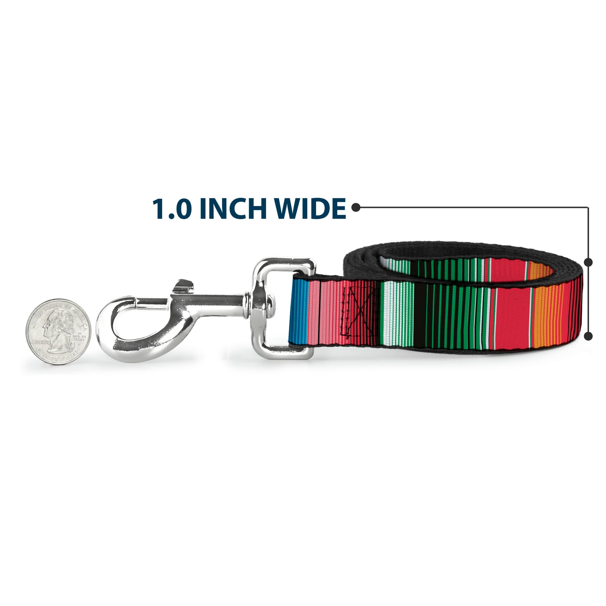 Dog Leash - Zarape5 Vertical Multi Color Stripe Dog Leashes Buckle-Down