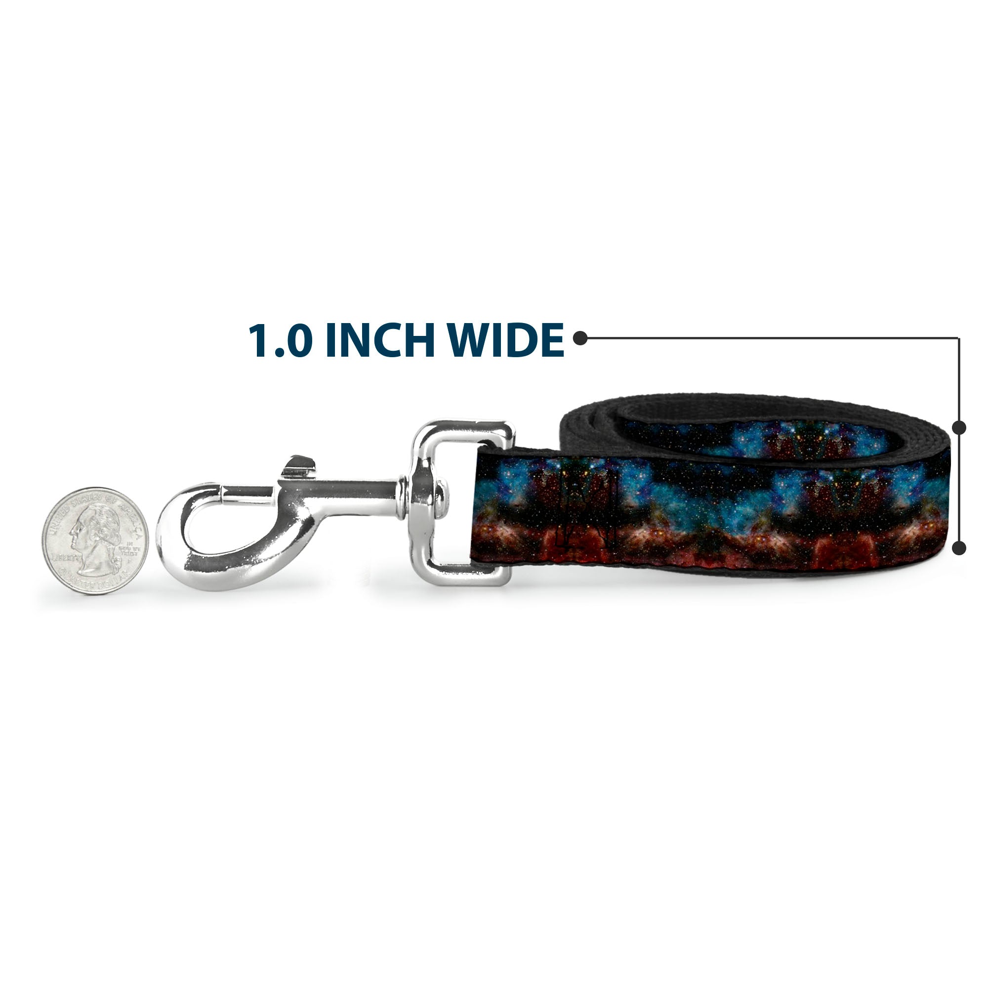 Dog Leash - Cosmic Space Dog Leashes Buckle-Down