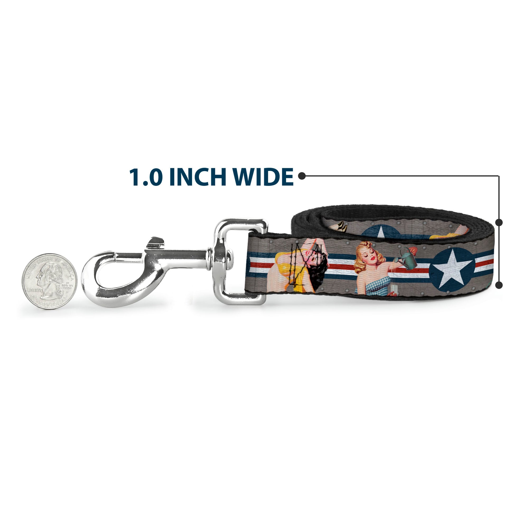 Dog Leash - Pin Up Girl Poses CLOSE-UP Star & Stripes Gray/Blue/White/Red Dog Leashes Buckle-Down