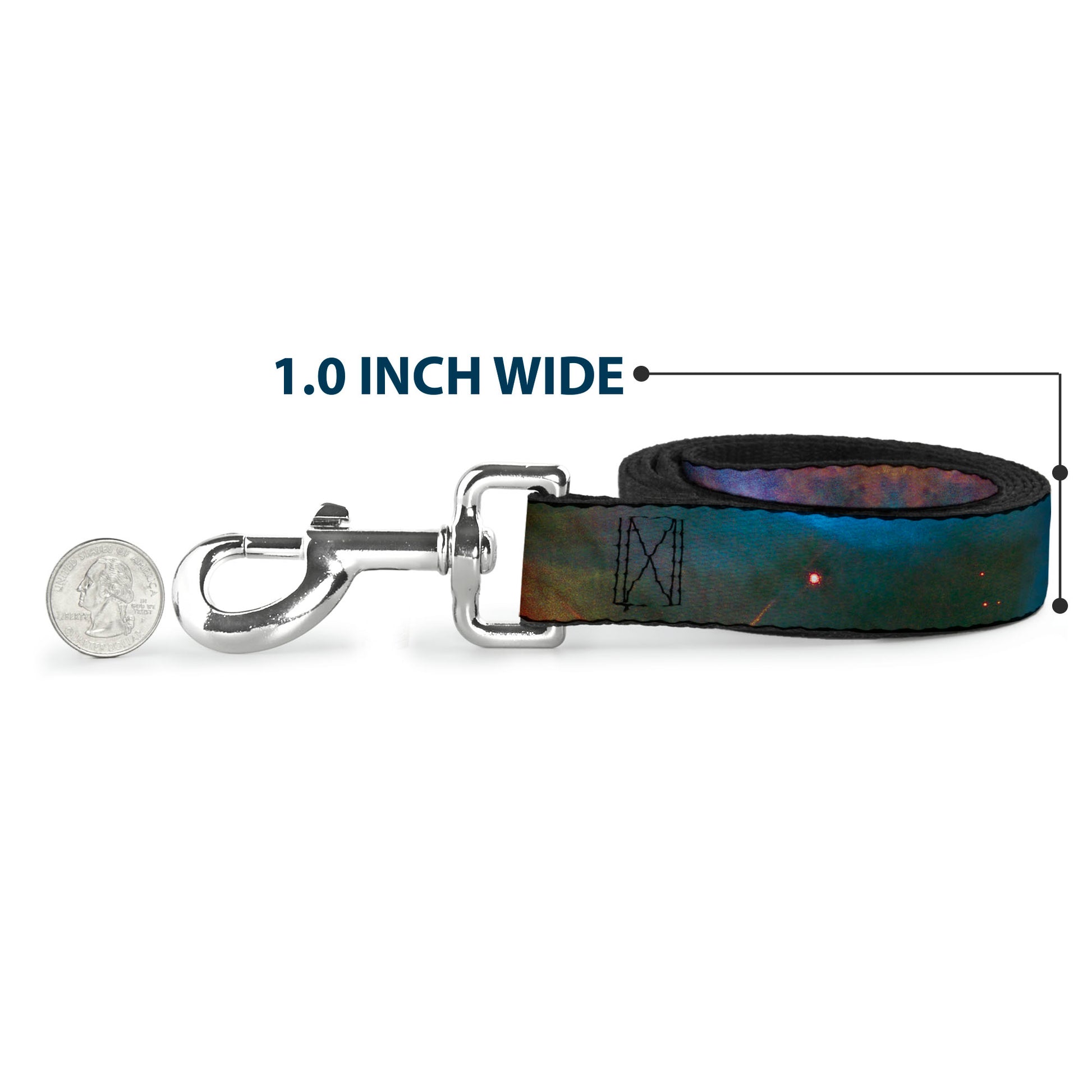 Dog Leash - Supernova Space Collage Dog Leashes Buckle-Down