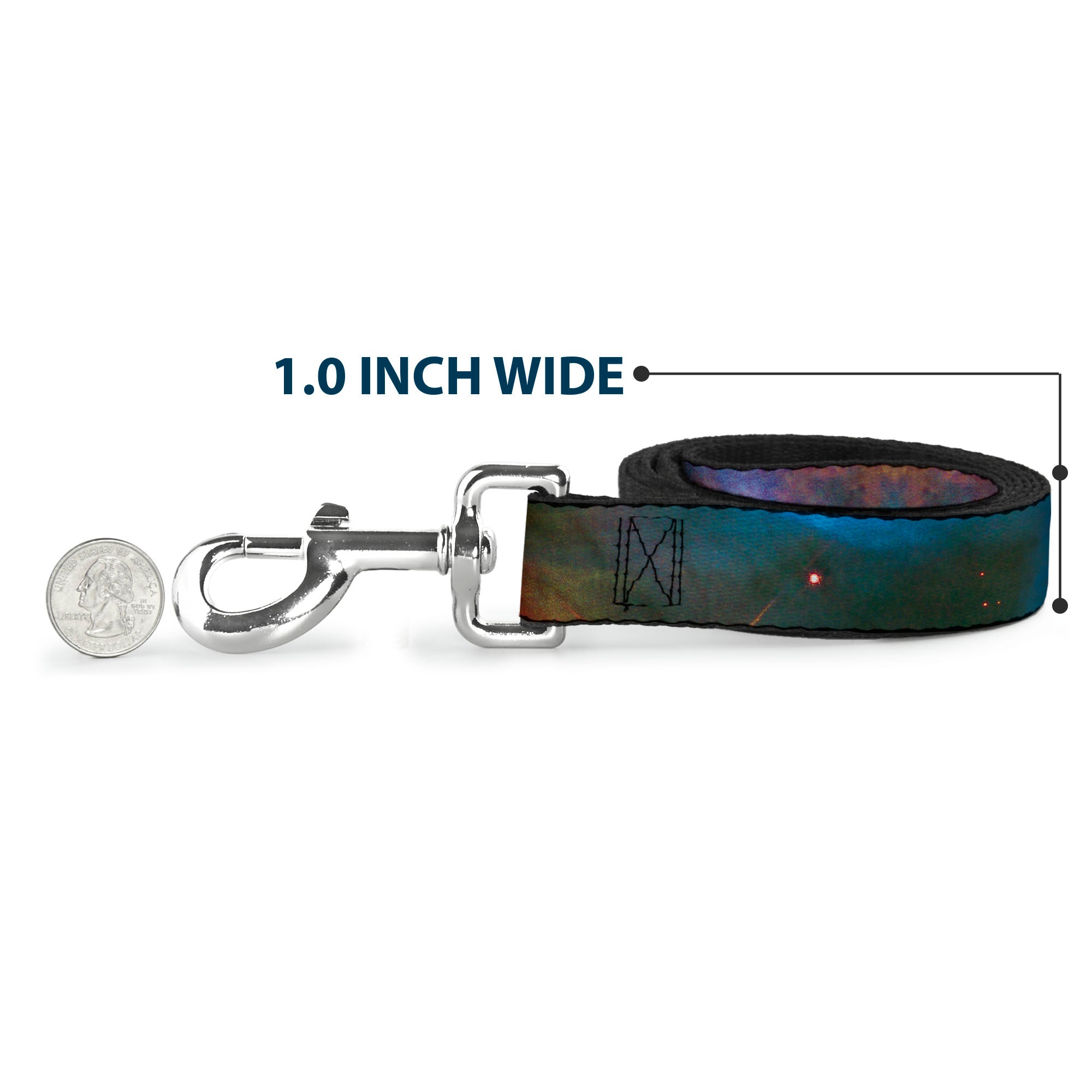 Dog Leash - Supernova Space Collage Dog Leashes Buckle-Down
