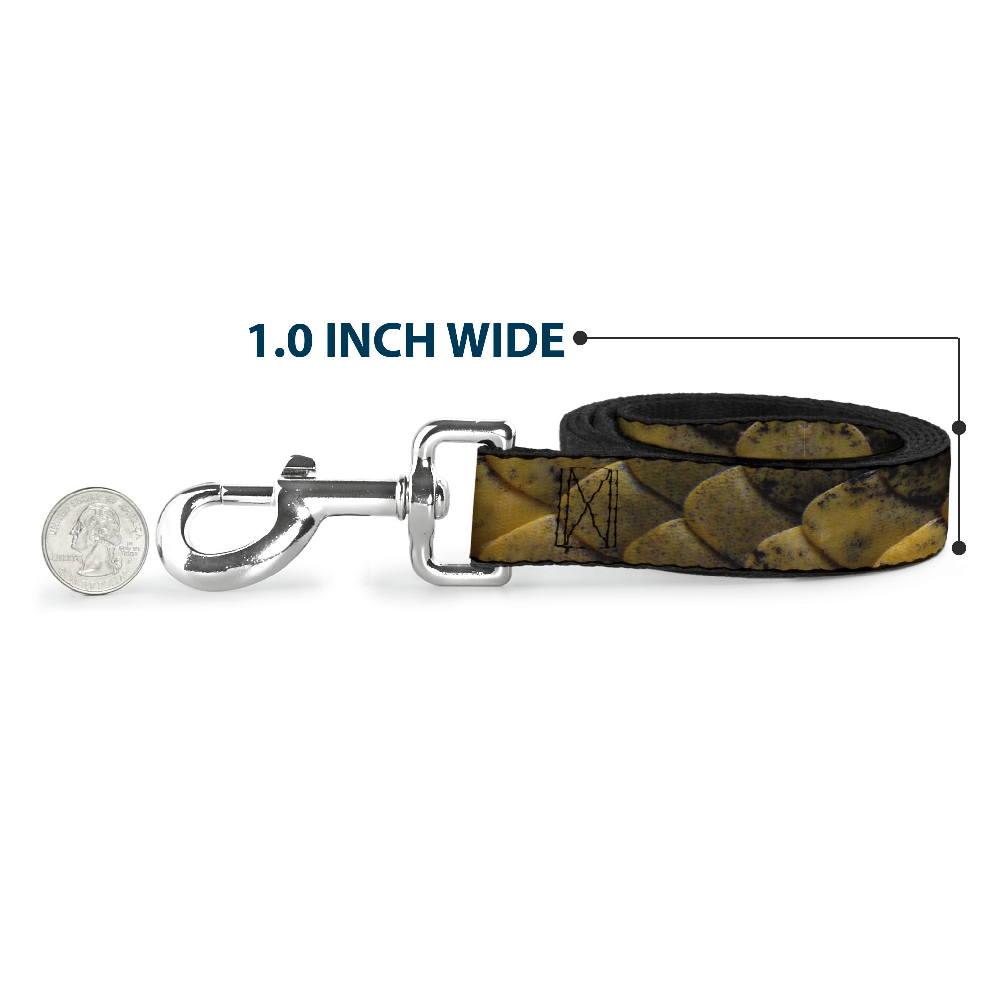 Dog Leash - Snake Skin CLOSE-UP Dog Leashes Buckle-Down