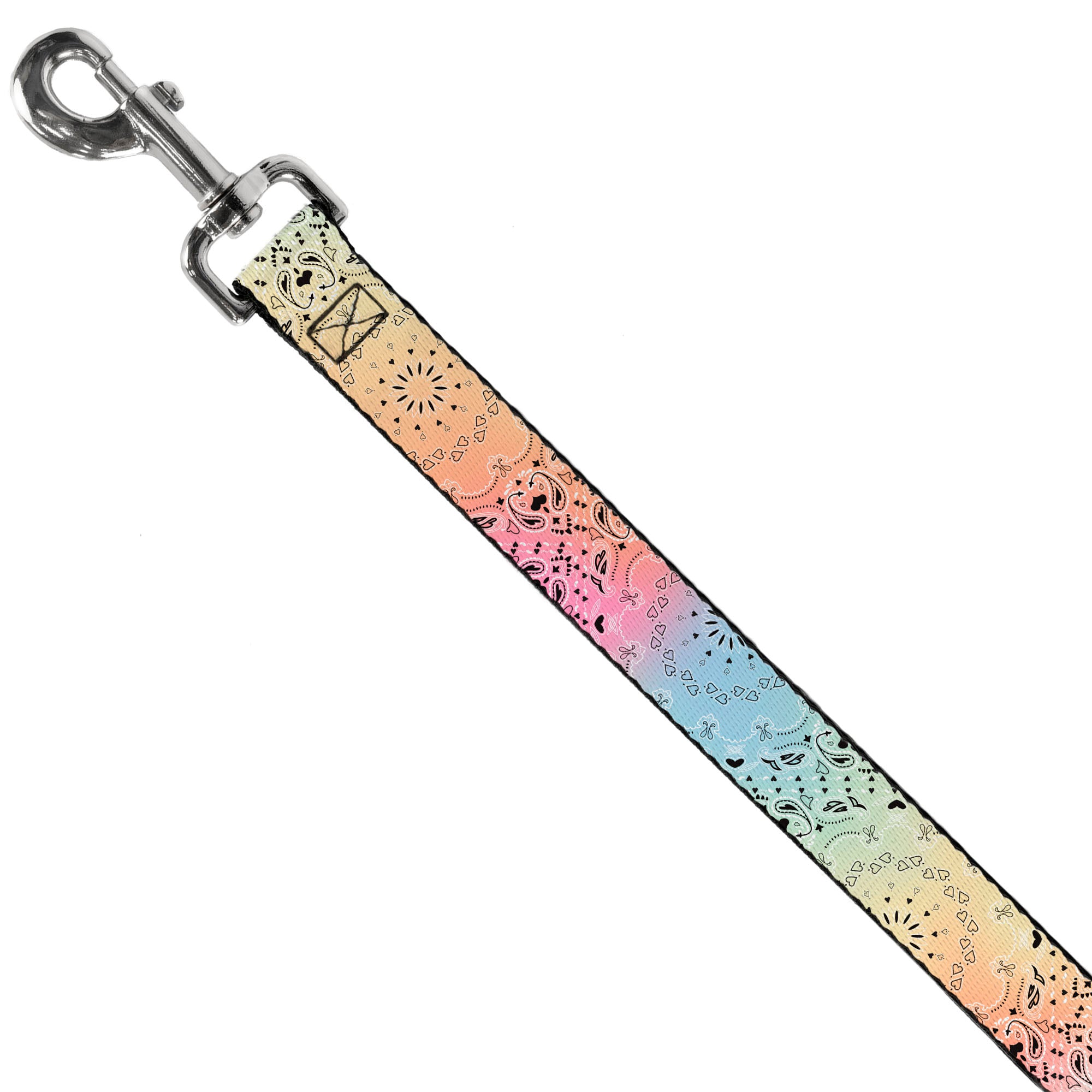 Dog Leash - Bandana Paisley Ombre Pastel/Black Dog Leashes Buckle-Down