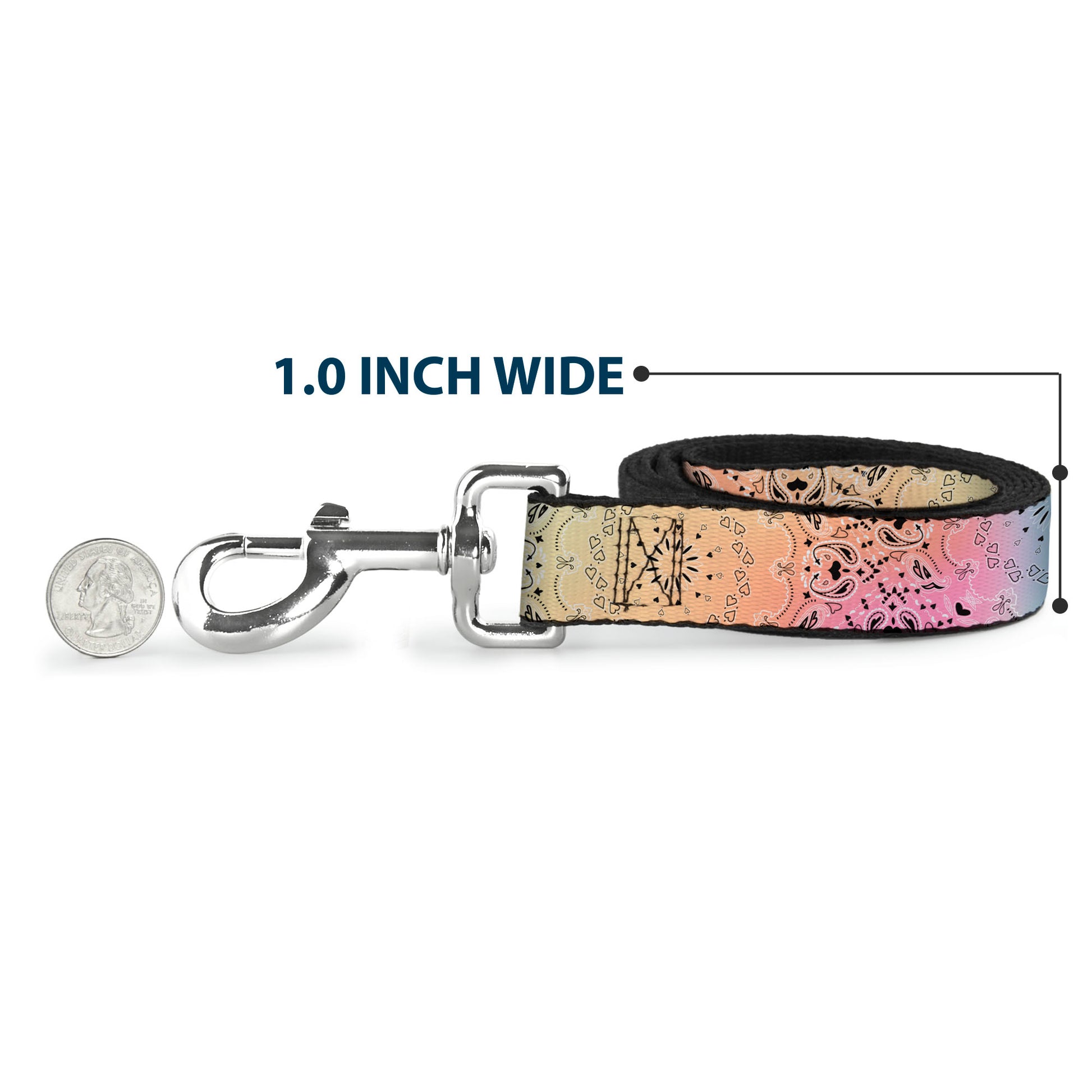 Dog Leash - Bandana Paisley Ombre Pastel/Black Dog Leashes Buckle-Down
