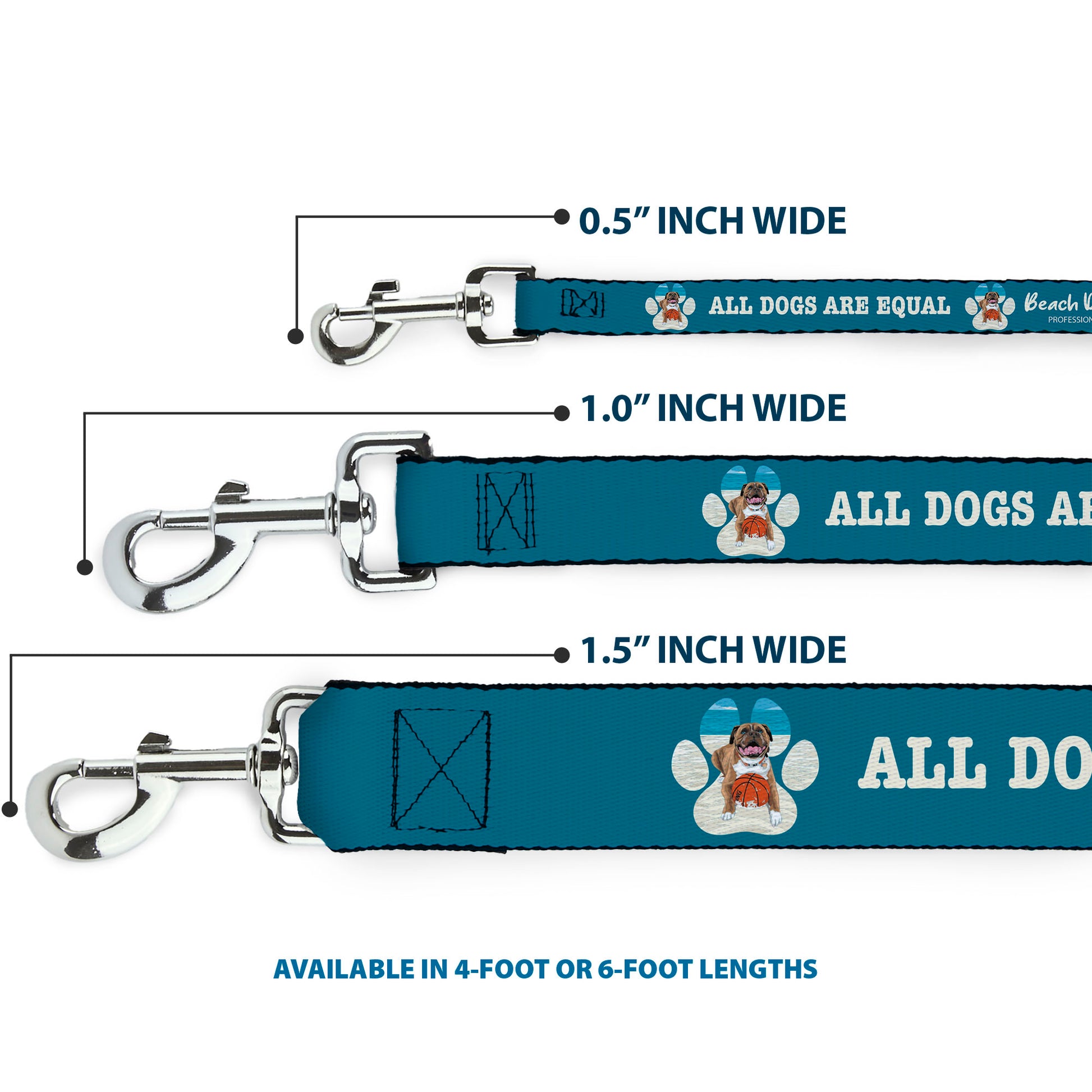 Dog Leash - BEACH DAWG CARE ALL DOGS ARE EQUAL Turquoise/White Dog Leashes Buckle-Down