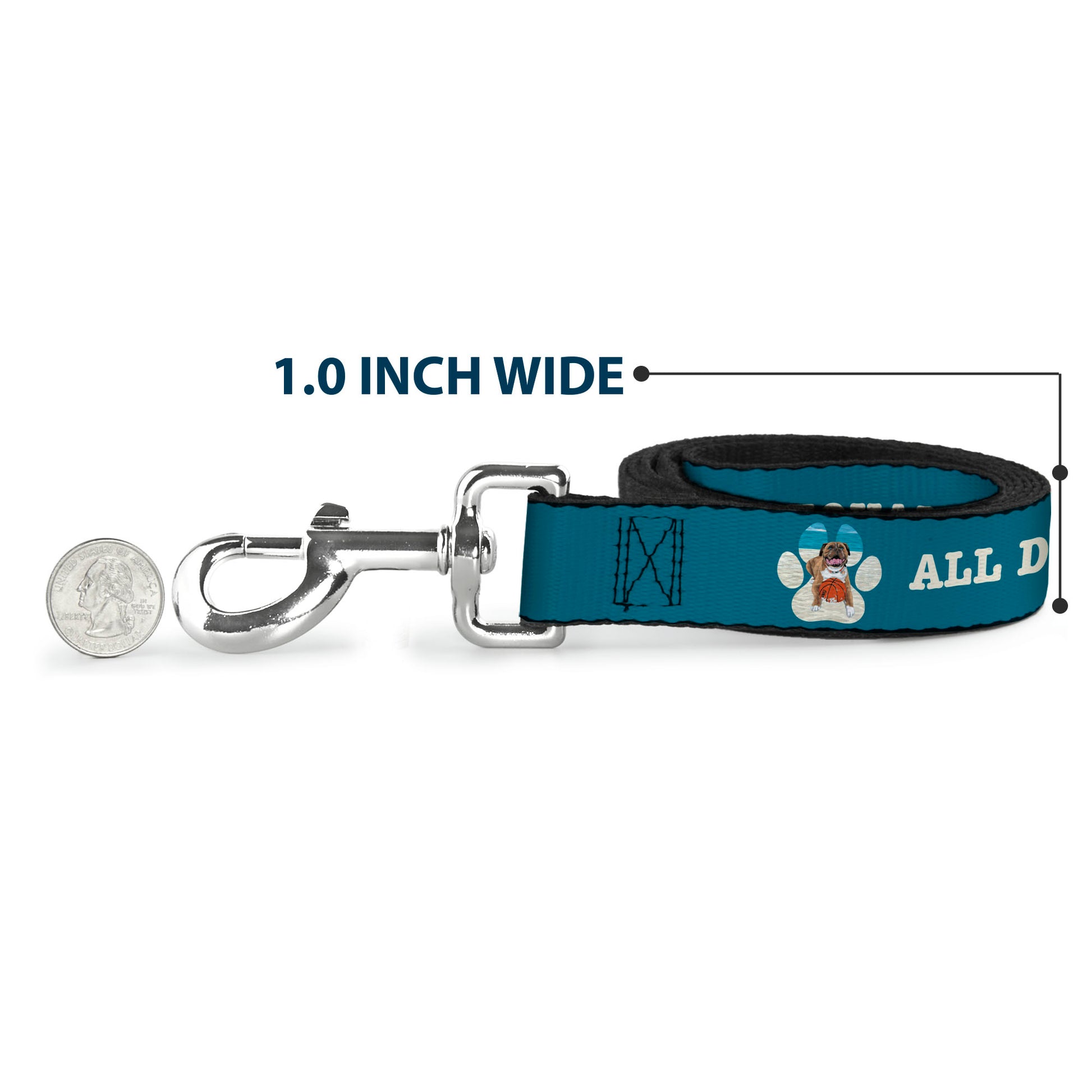Dog Leash - BEACH DAWG CARE ALL DOGS ARE EQUAL Turquoise/White Dog Leashes Buckle-Down