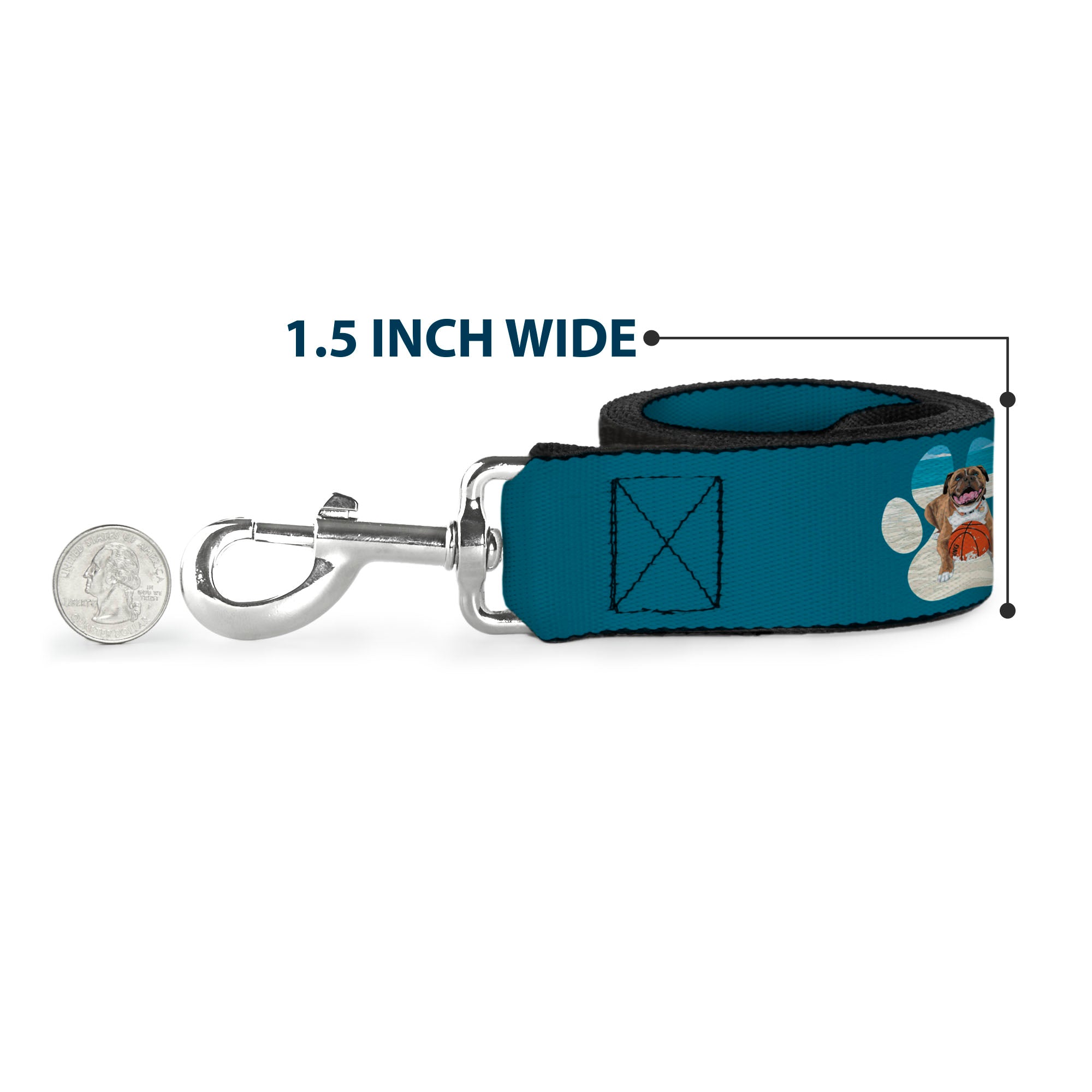 Dog Leash - BEACH DAWG CARE ALL DOGS ARE EQUAL Turquoise/White Dog Leashes Buckle-Down