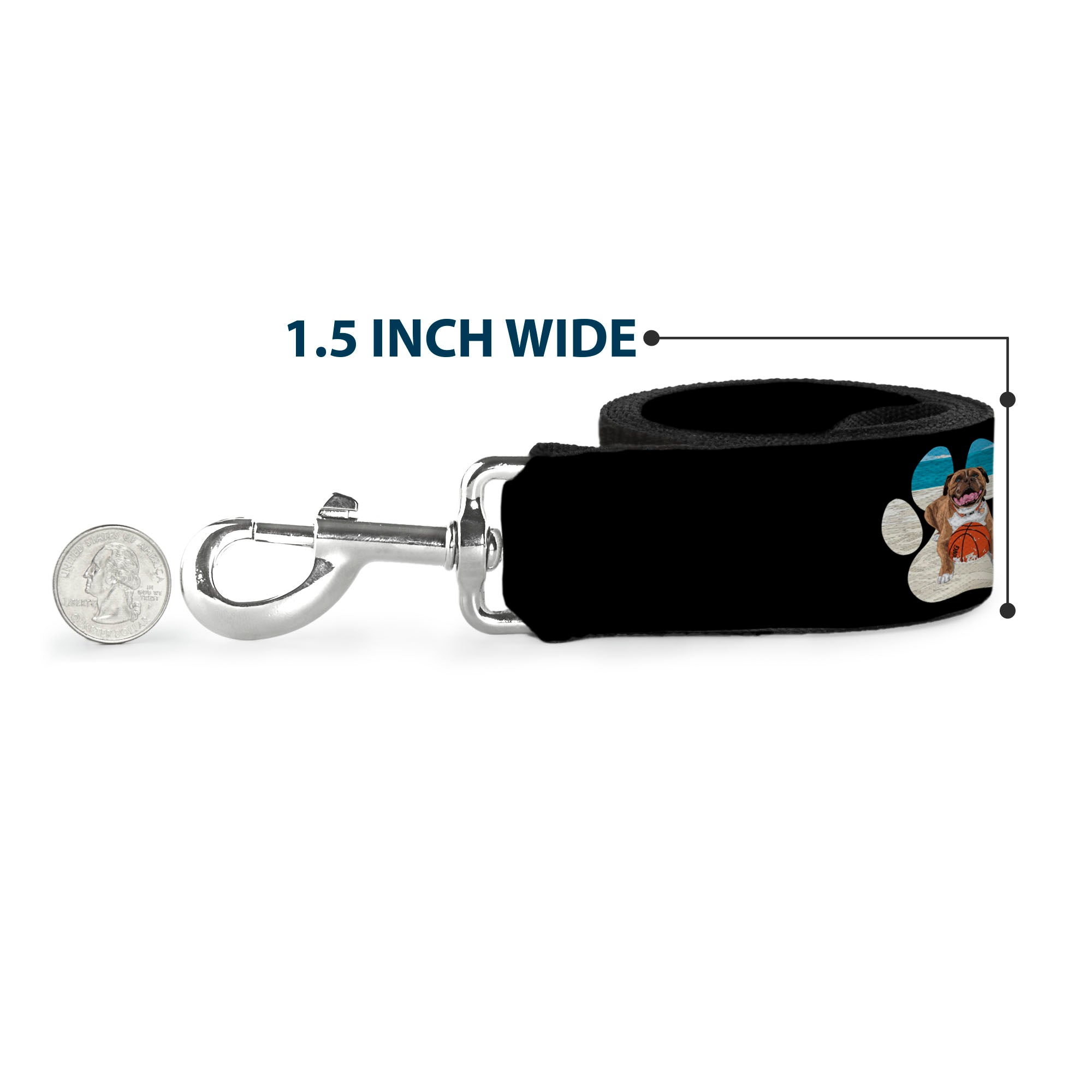 Dog Leash - BEACH DAWG CARE ALL DOGS ARE EQUAL Black/White Dog Leashes Buckle-Down
