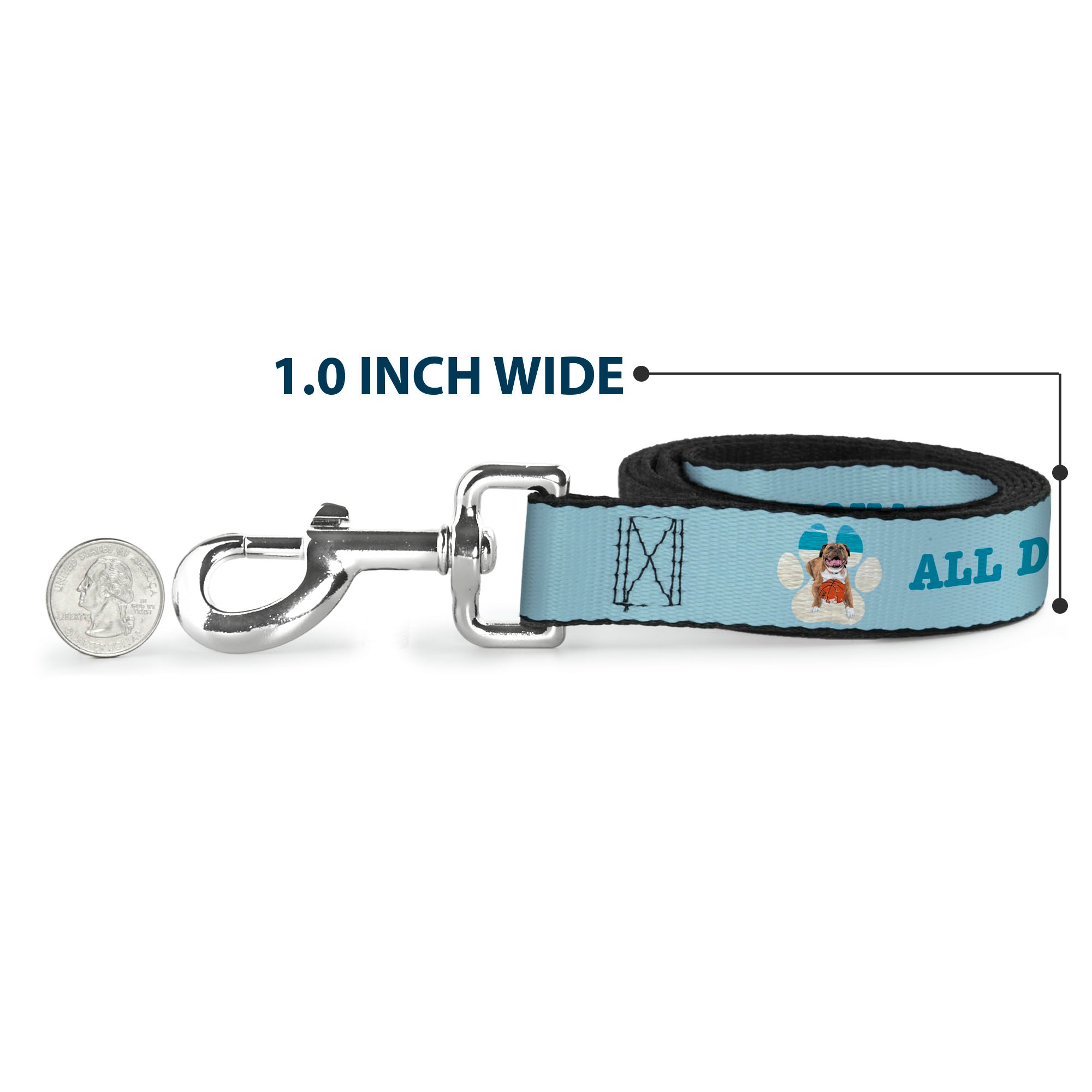 Dog Leash - BEACH DAWG CARE ALL DOGS ARE EQUAL Blues Dog Leashes Buckle-Down