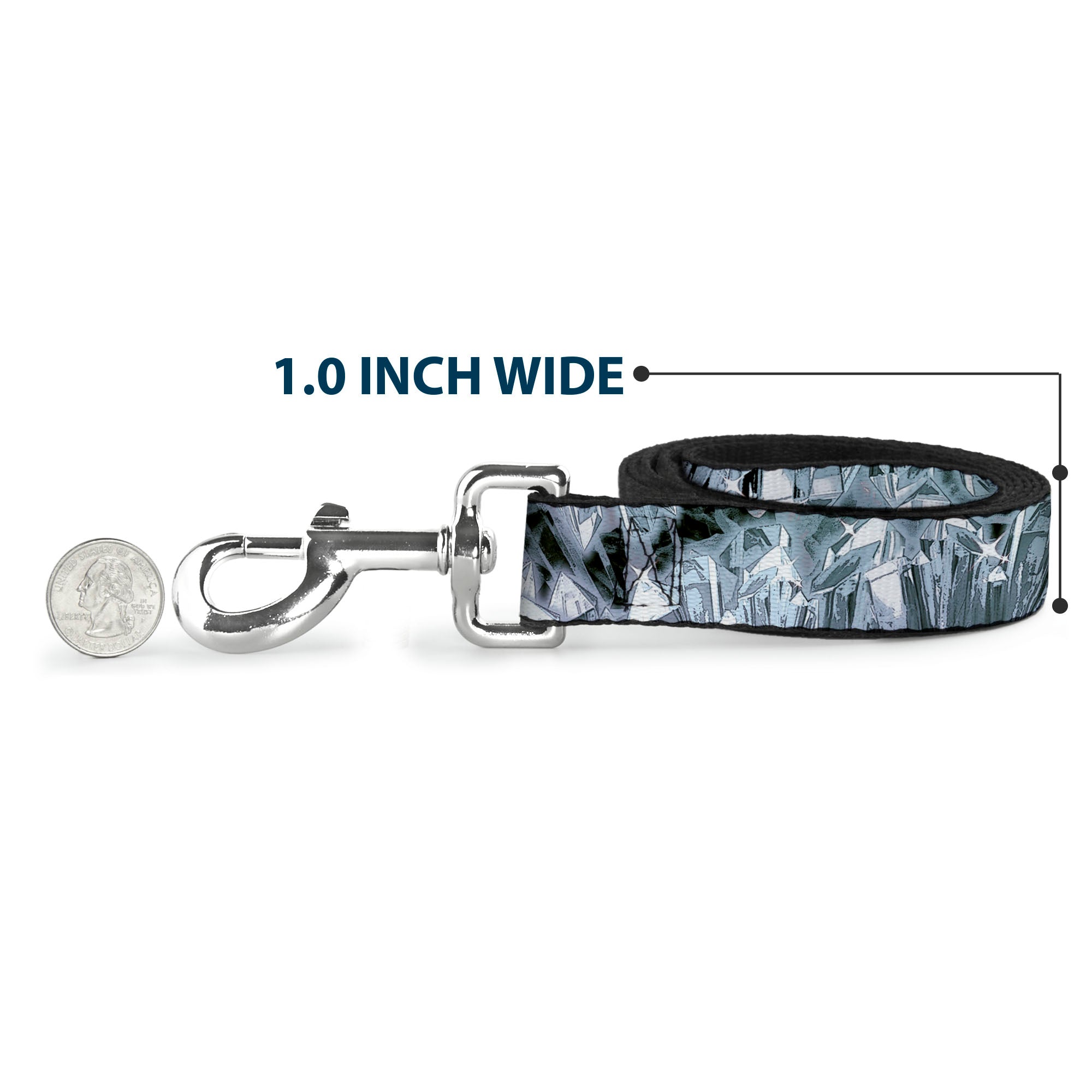 Dog Leash - Crystals3 Clear Dog Leashes Buckle-Down