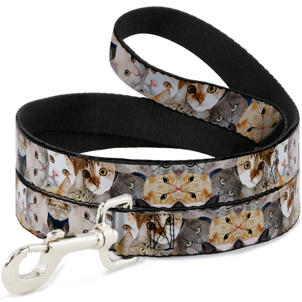Dog Leash - Cat Faces Stacked Dog Leashes Buckle-Down