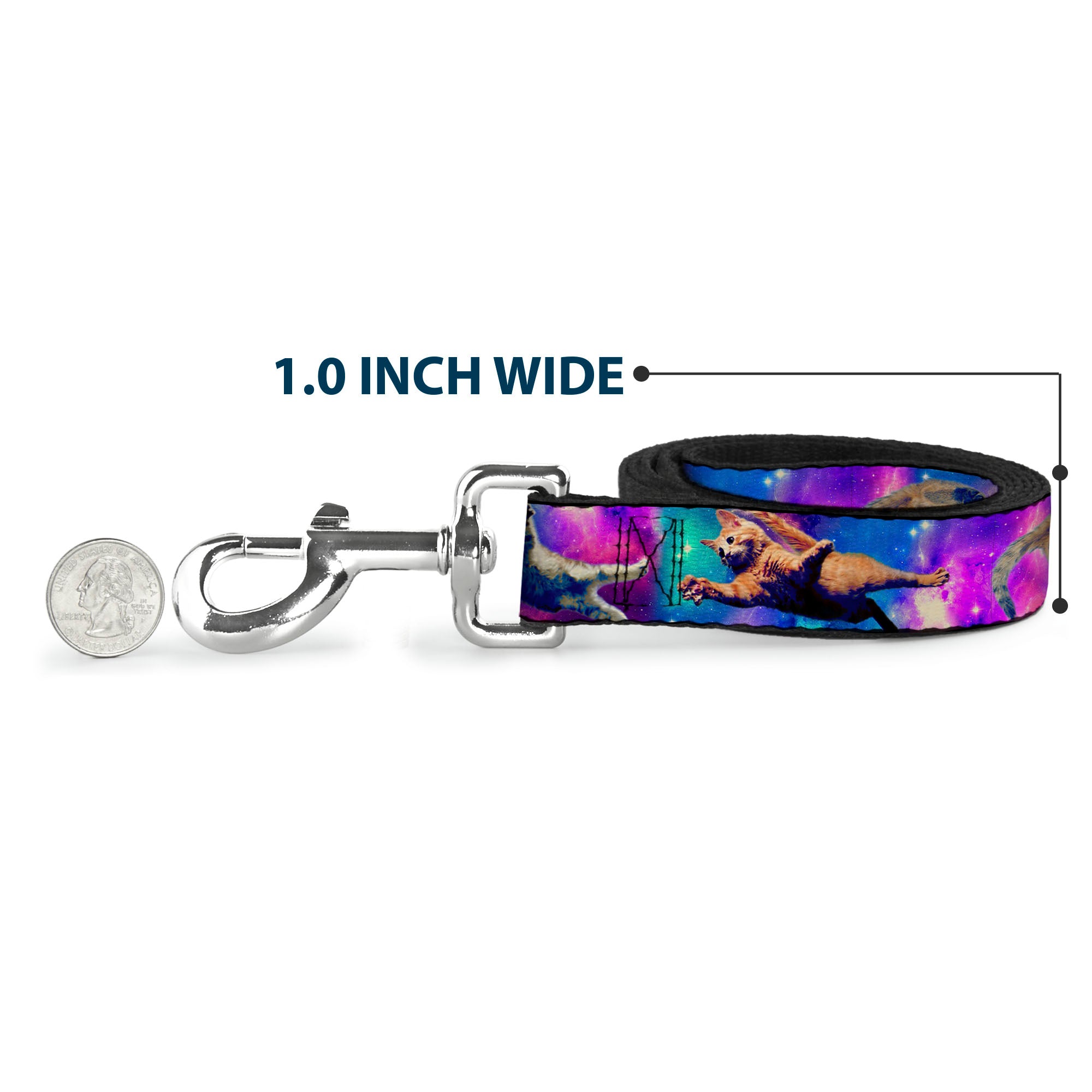 Dog Leash - Cats in Space Pinks/Blues Dog Leashes Buckle-Down