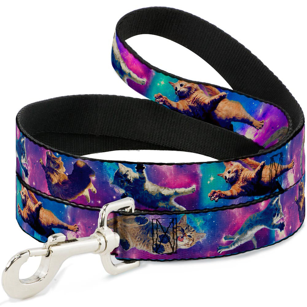 Dog Leash - Cats in Space Pinks/Blues Dog Leashes Buckle-Down