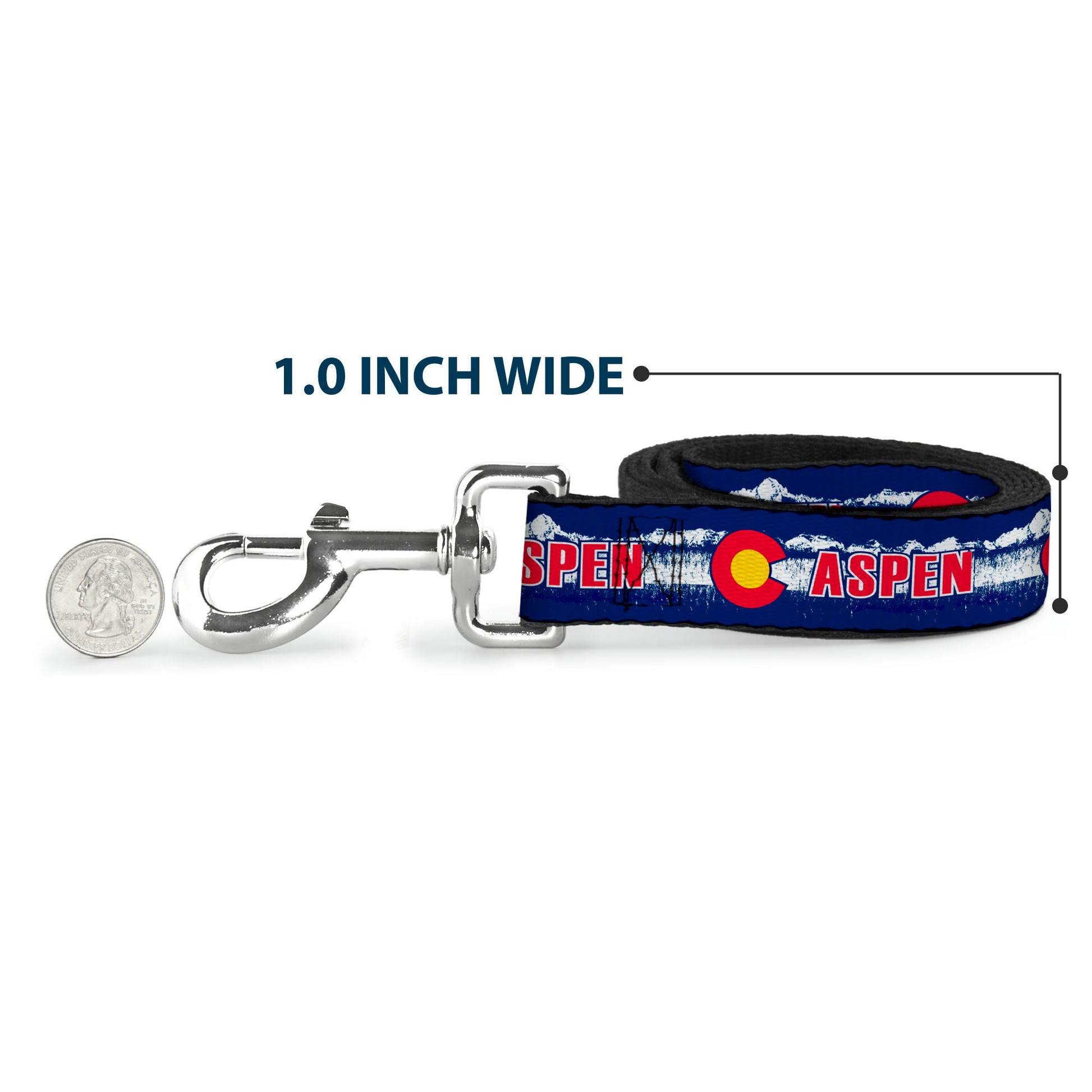 Dog Leash - Colorado ASPEN Flag/Snowy Mountains Weathered Blue/White/Red/Yellows Dog Leashes Buckle-Down