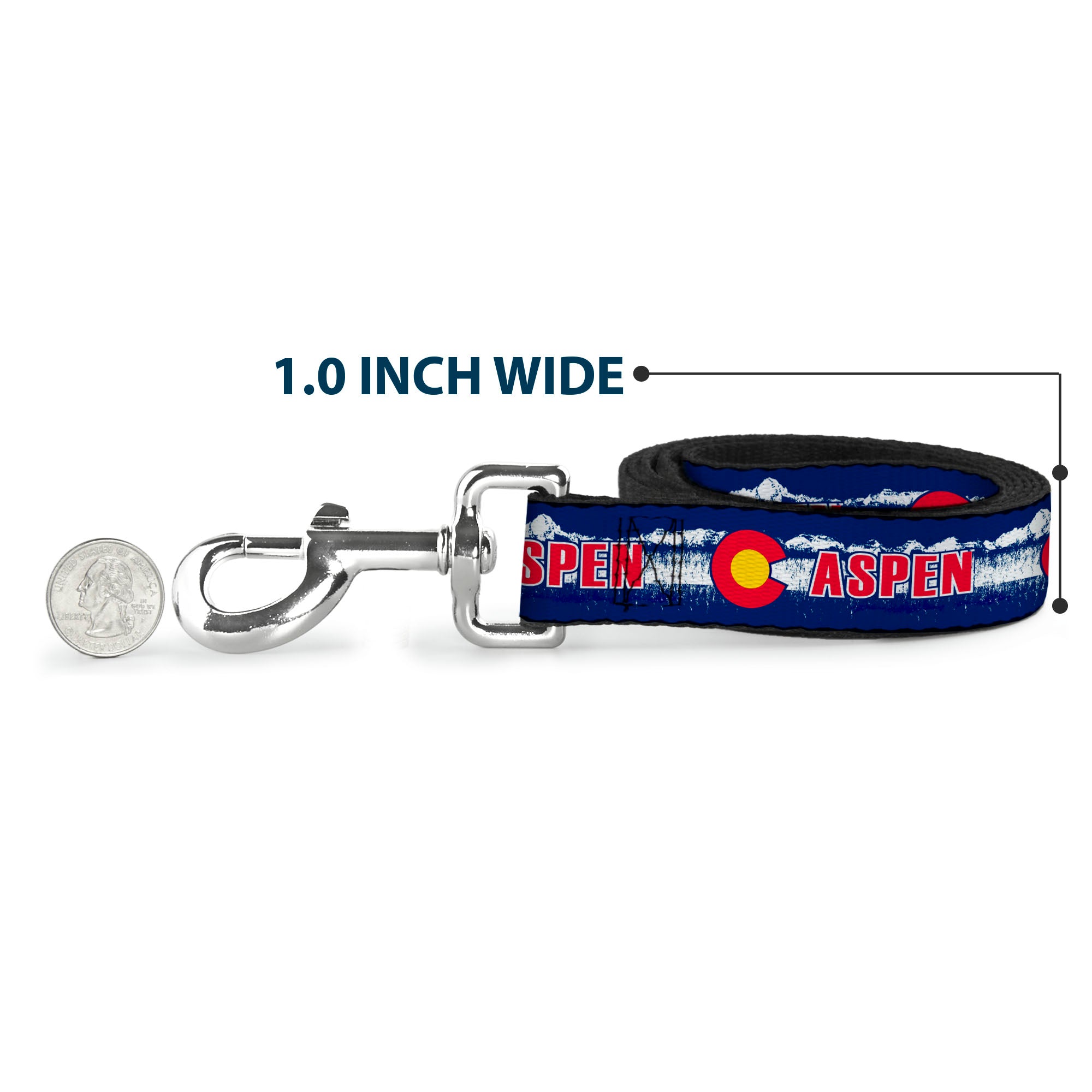 Dog Leash - Colorado ASPEN Flag/Snowy Mountains Weathered Blue/White/Red/Yellows Dog Leashes Buckle-Down