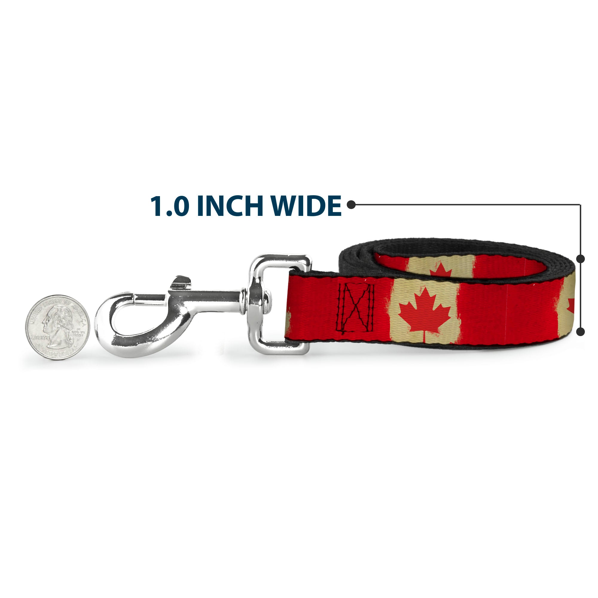 Dog Leash - Canada Flag Painted Dog Leashes Buckle-Down