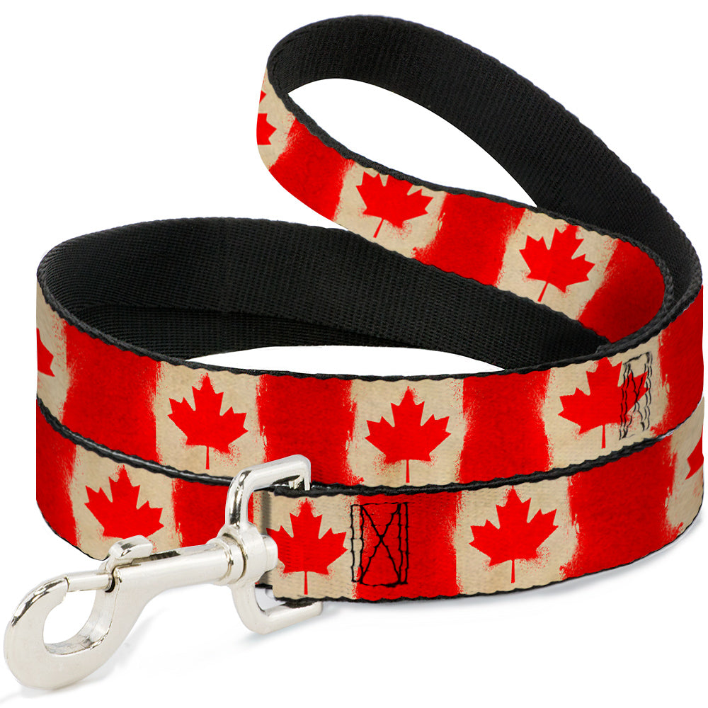 Dog Leash - Canada Flag Painted Dog Leashes Buckle-Down