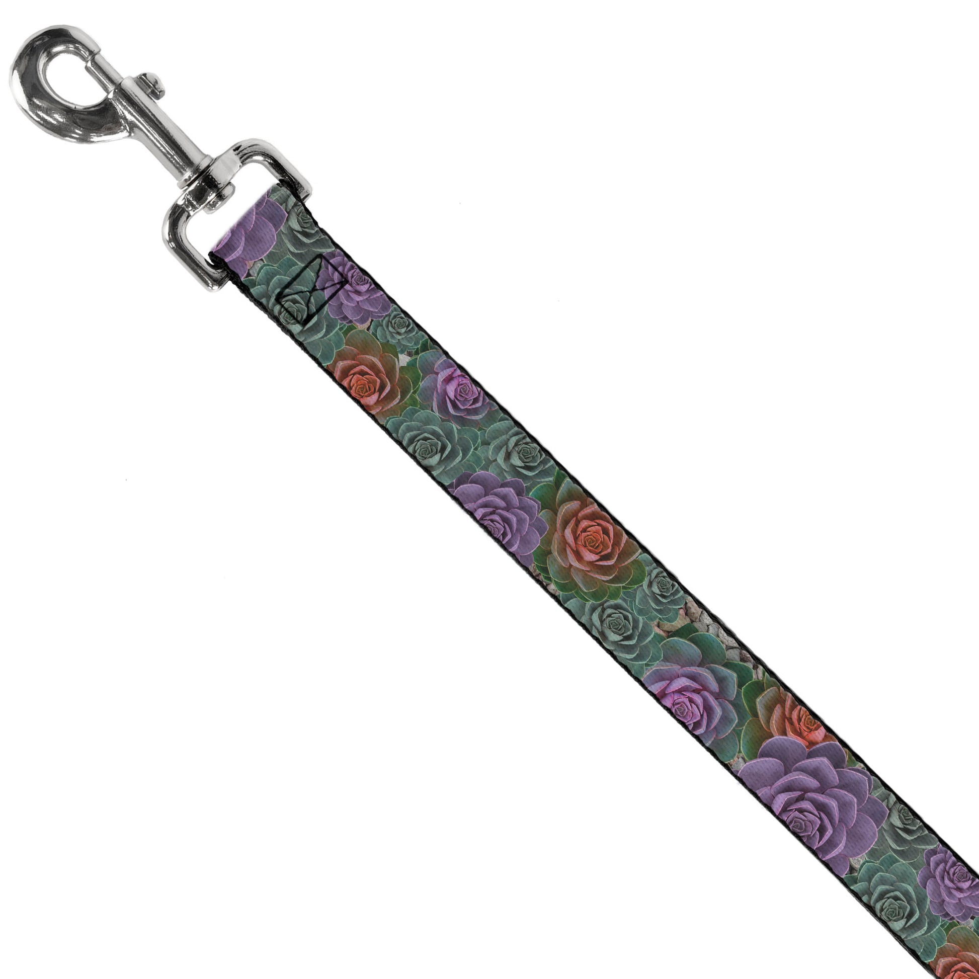 Dog Leash - Succulents Stacked Green/Pink/Orange Dog Leashes Buckle-Down