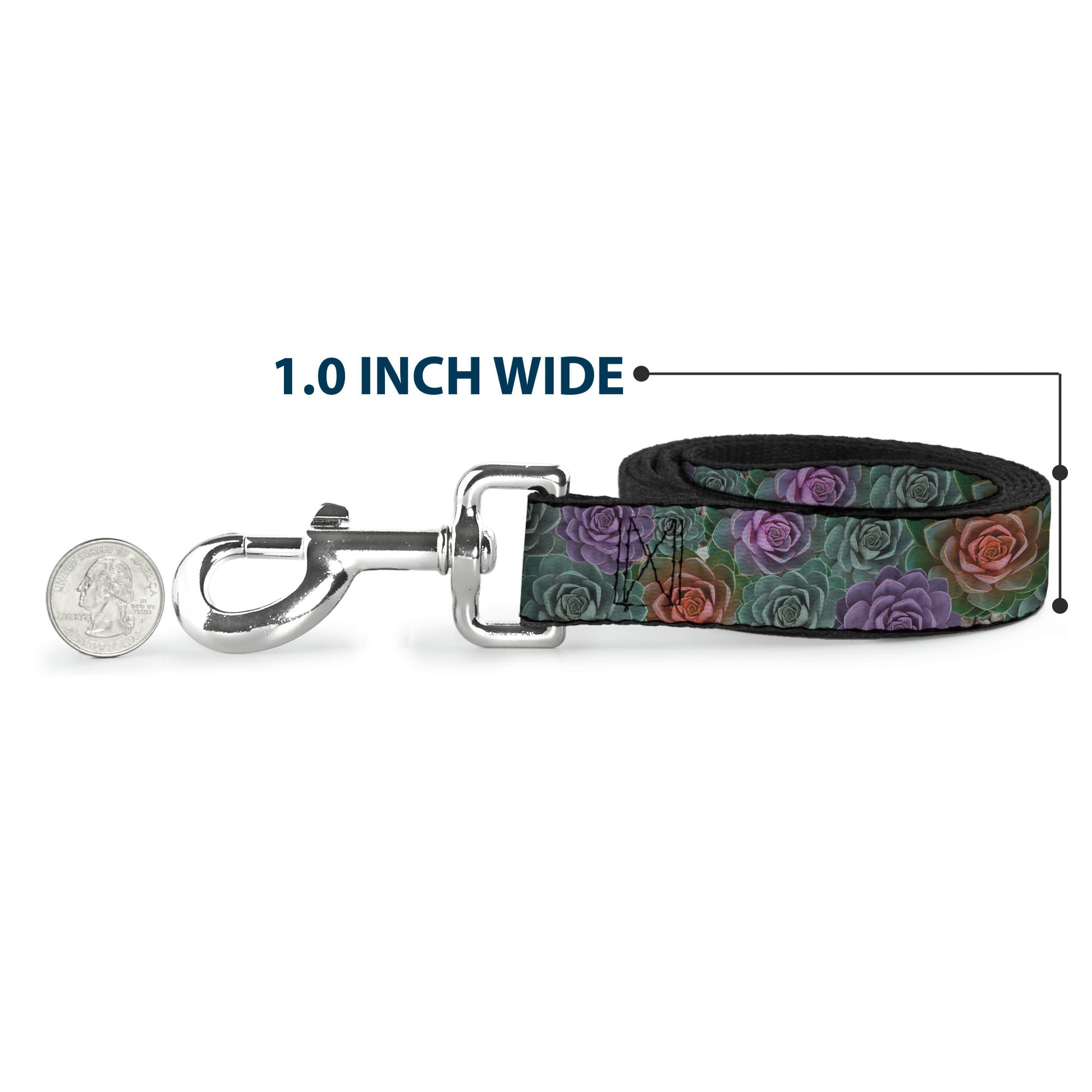 Dog Leash - Succulents Stacked Green/Pink/Orange Dog Leashes Buckle-Down