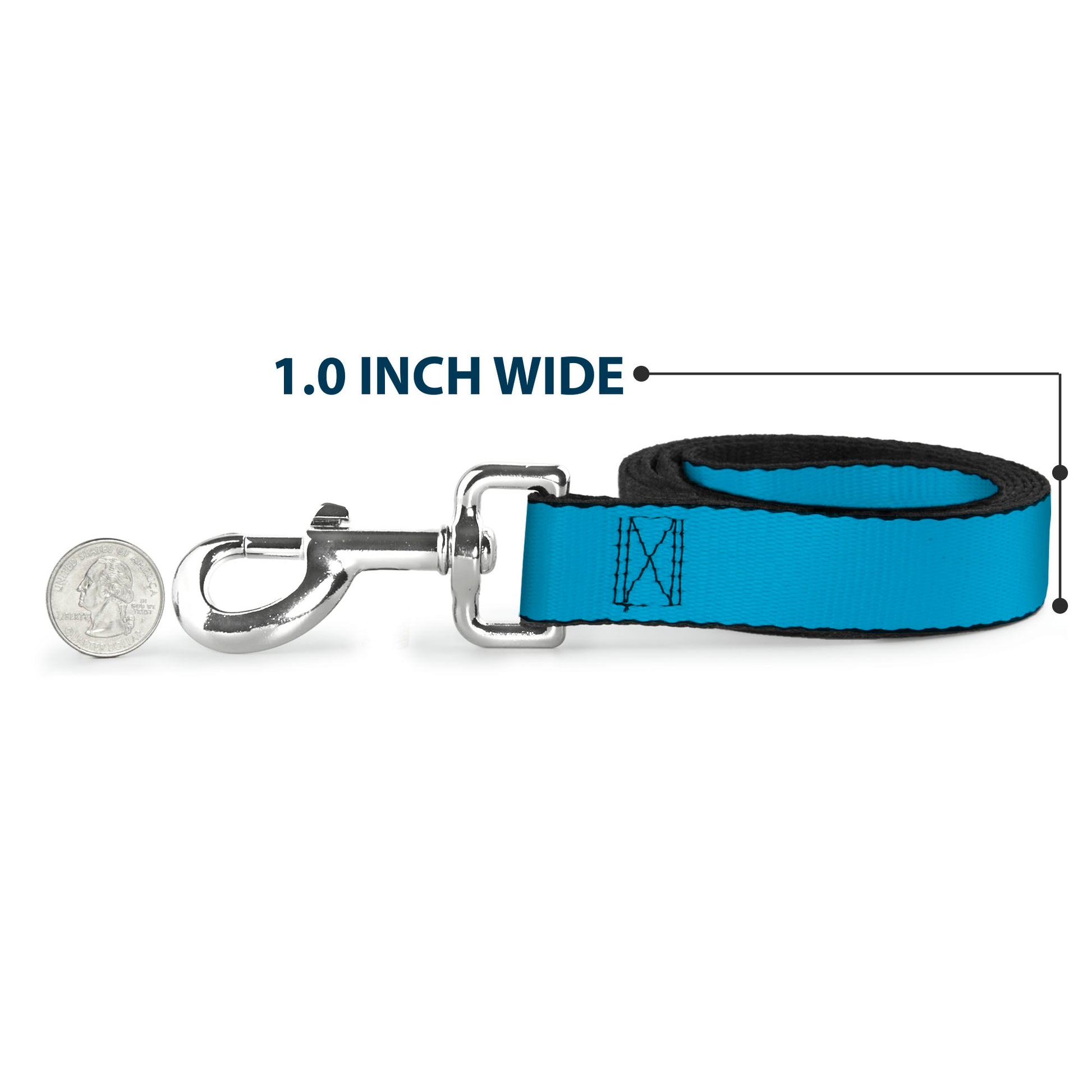 Dog Leash - Solid Water Blue Dog Leashes Buckle-Down