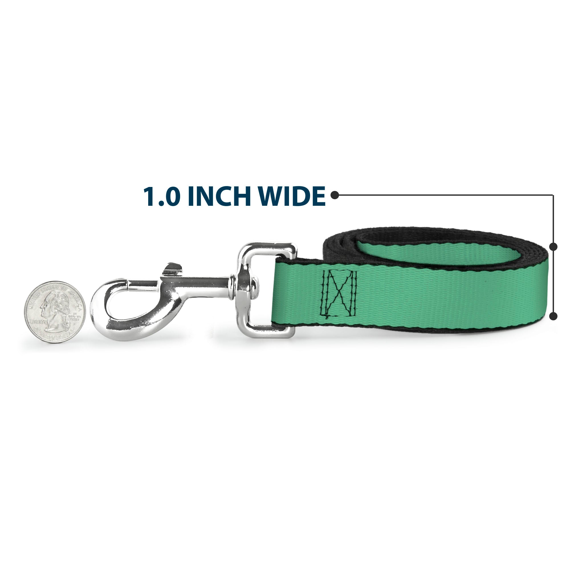 Dog Leash - Solid Rainforest Green Dog Leashes Buckle-Down