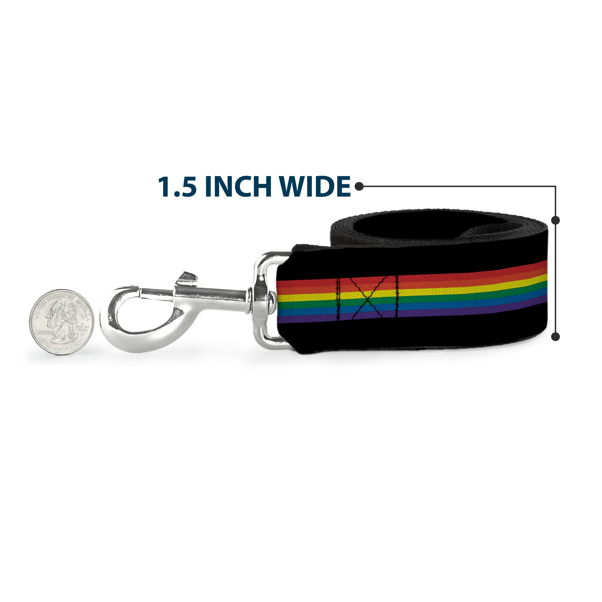 Dog Leash - Stripe Black/Rainbow Dog Leashes Buckle-Down