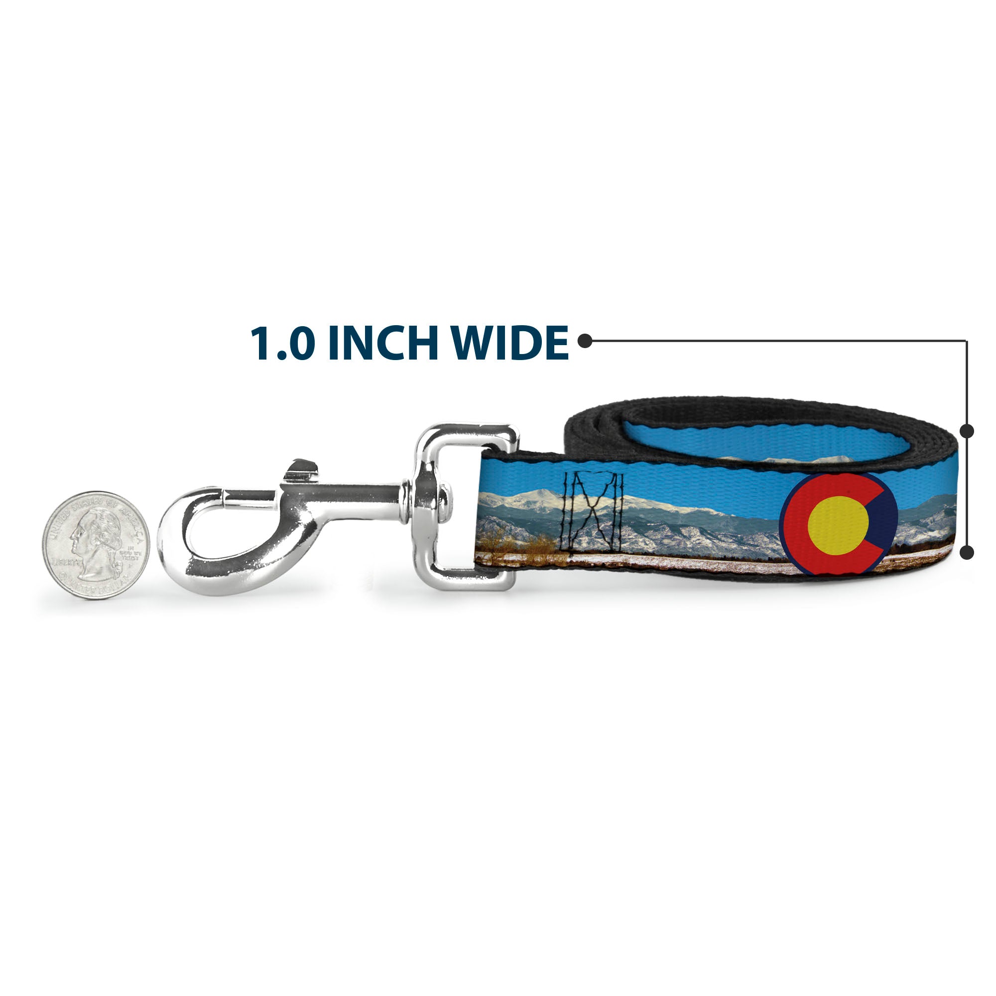 Dog Leash - Colorado Mount Evans Vivid Landscape/Colorado Flag Icon Dog Leashes Buckle-Down