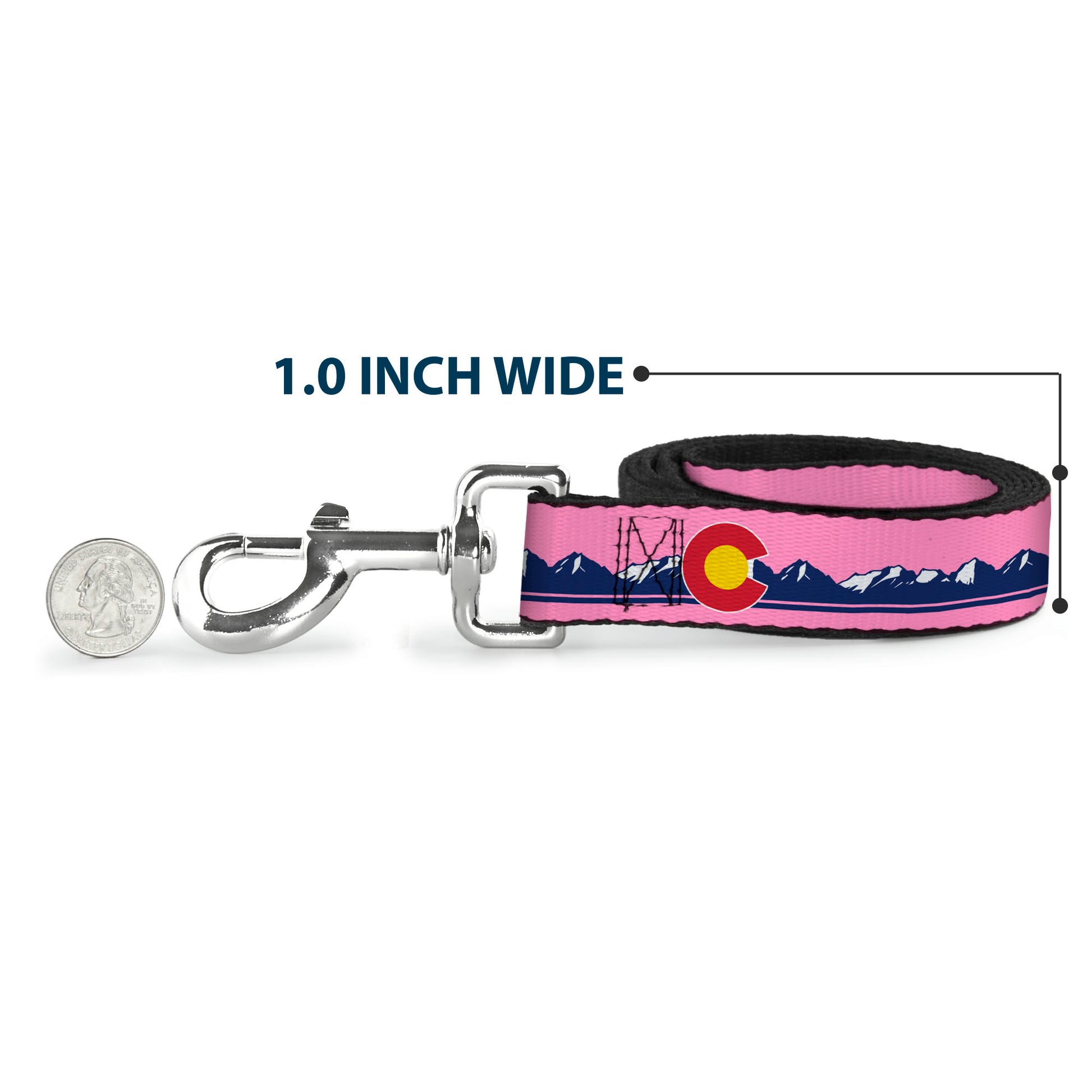 Dog Leash - Colorado Flag Icon Mountain Skyline Pink/Blue/White Dog Leashes Buckle-Down