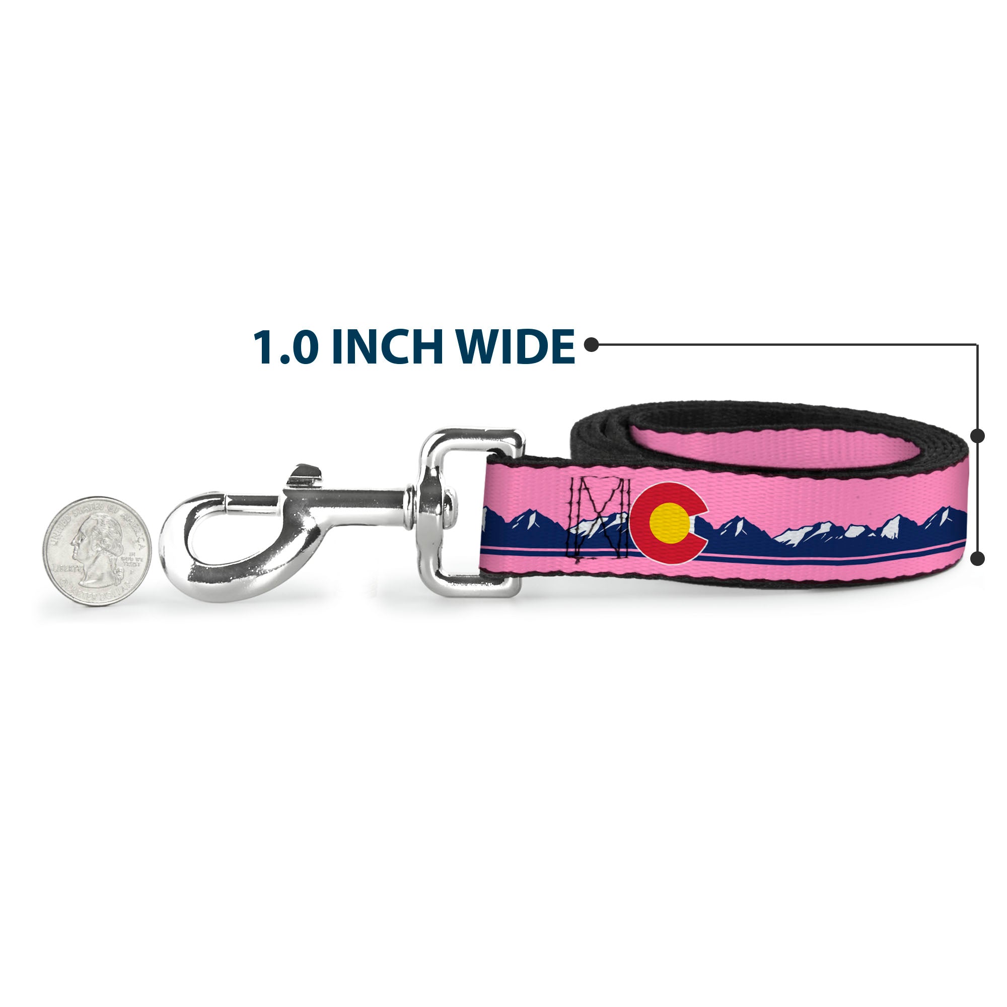 Dog Leash - Colorado Flag Icon Mountain Skyline Pink/Blue/White Dog Leashes Buckle-Down