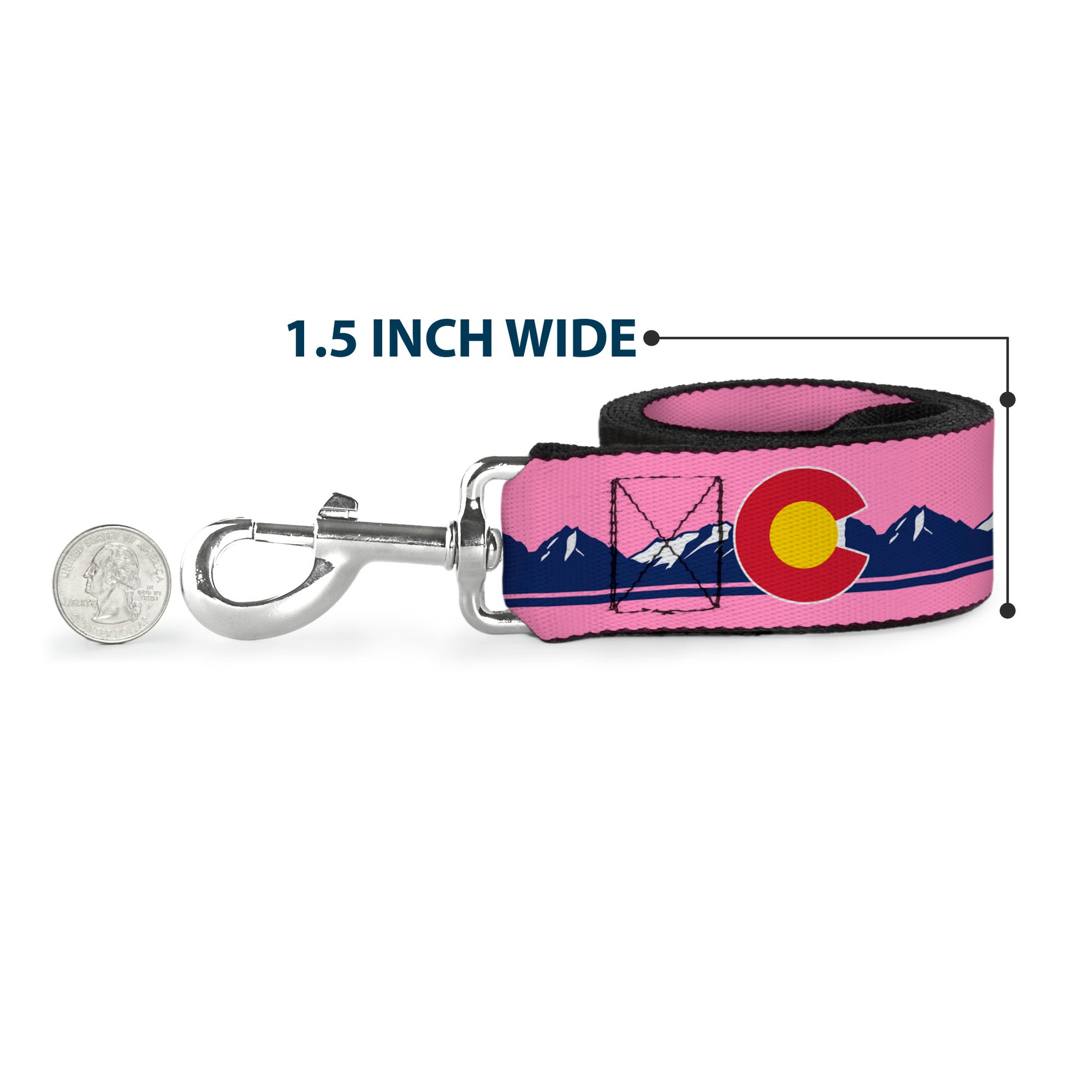 Dog Leash - Colorado Flag Icon Mountain Skyline Pink/Blue/White Dog Leashes Buckle-Down