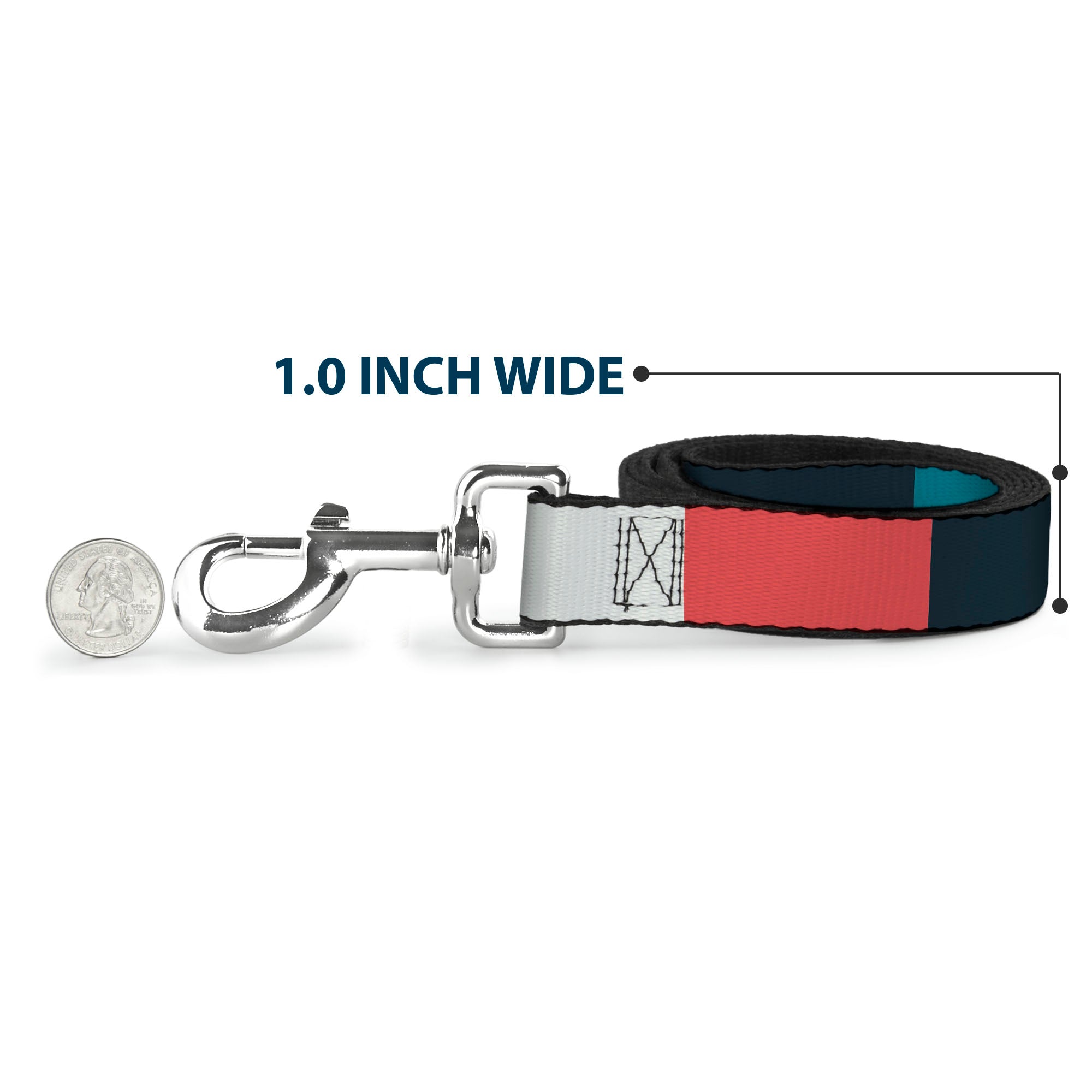 Dog Leash - Summer Essentials Color Block 4 Dog Leashes Buckle-Down