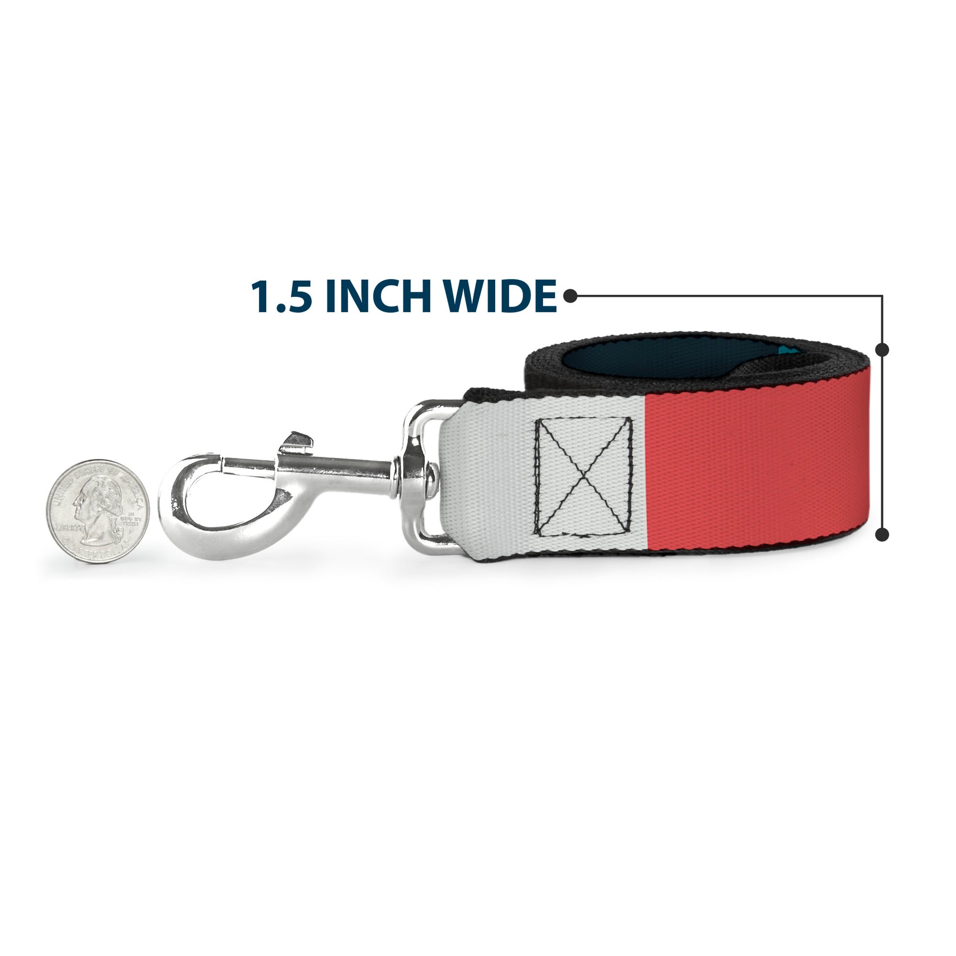 Dog Leash - Summer Essentials Color Block 4 Dog Leashes Buckle-Down