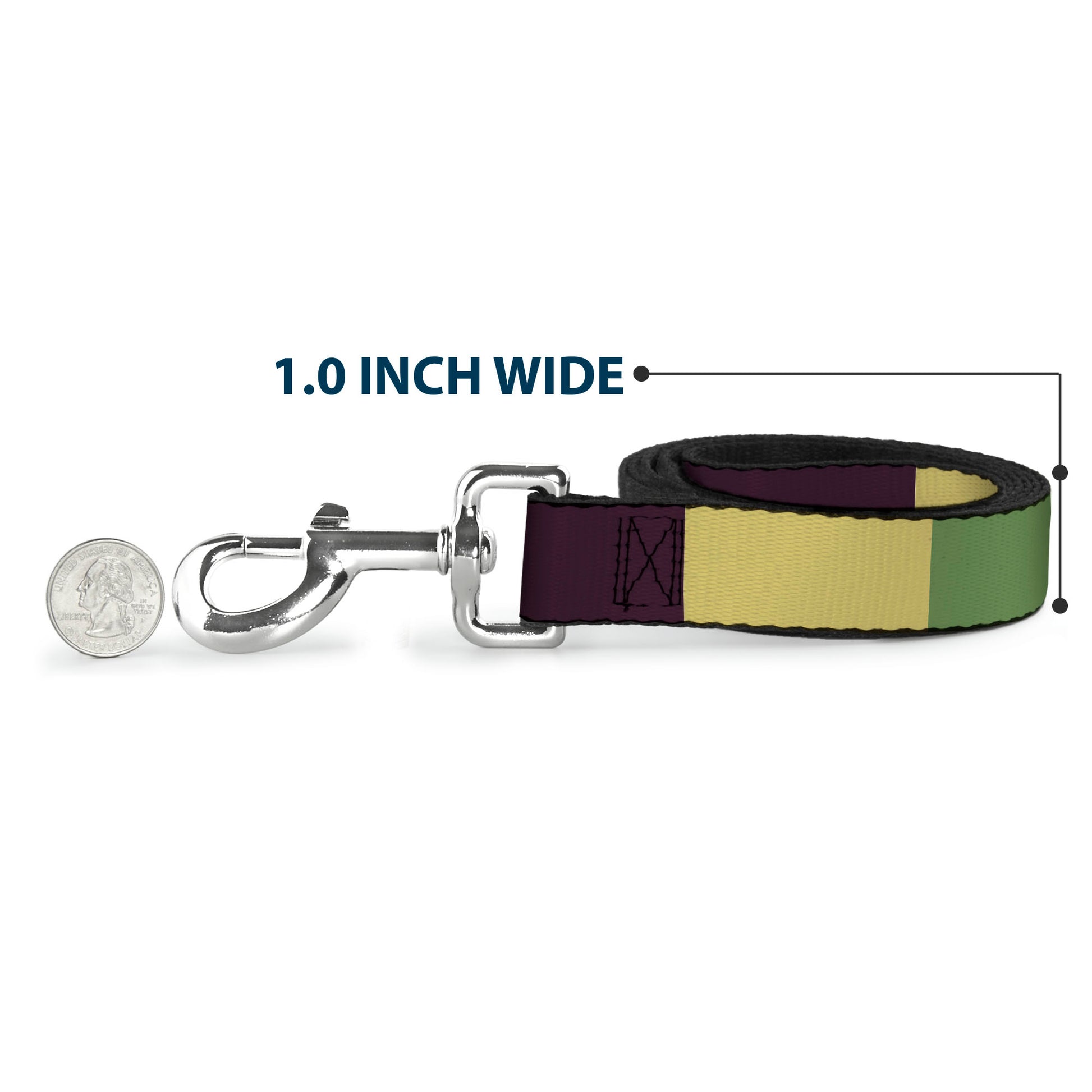 Dog Leash - Summer Essentials Color Block 5 Dog Leashes Buckle-Down