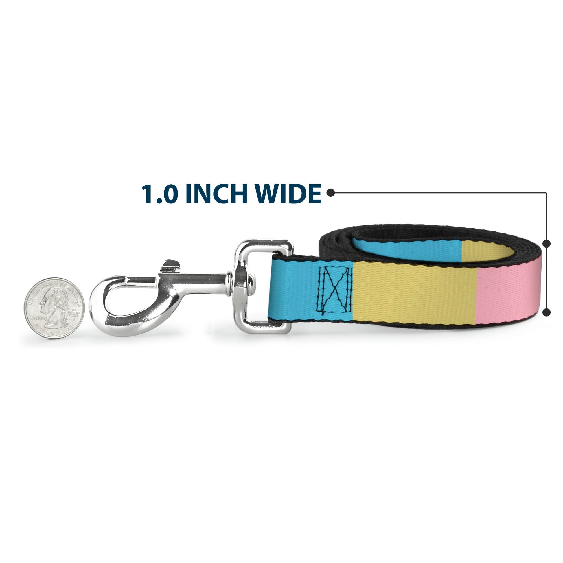 Dog Leash - Summer Essentials Color Block 6 Dog Leashes Buckle-Down