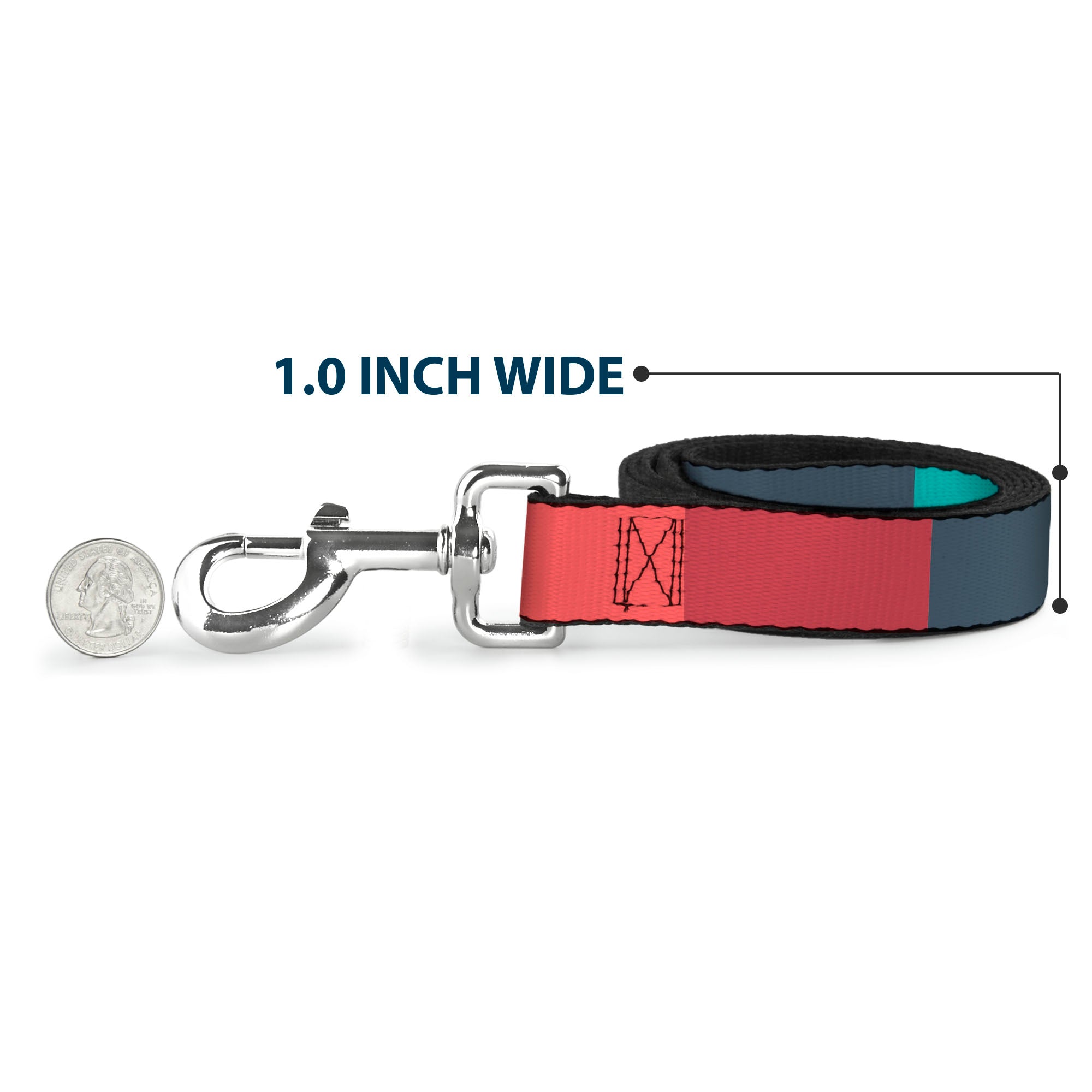 Dog Leash - Summer Essentials Color Block 8 Dog Leashes Buckle-Down