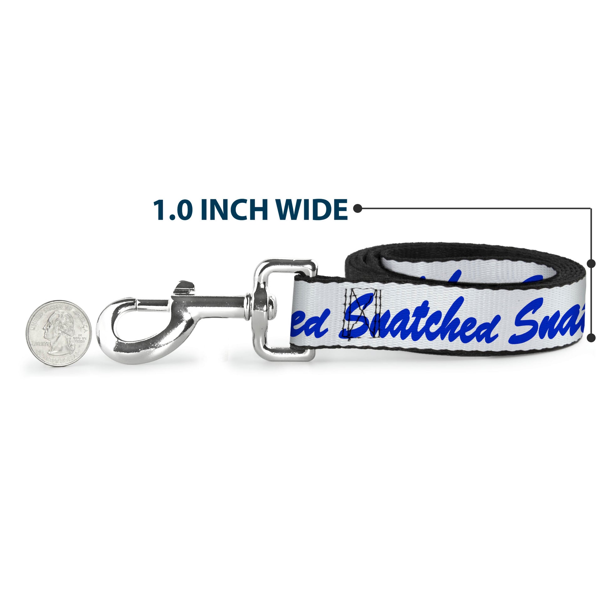 Dog Leash - SNATCHED Script White/Blue Dog Leashes Buckle-Down