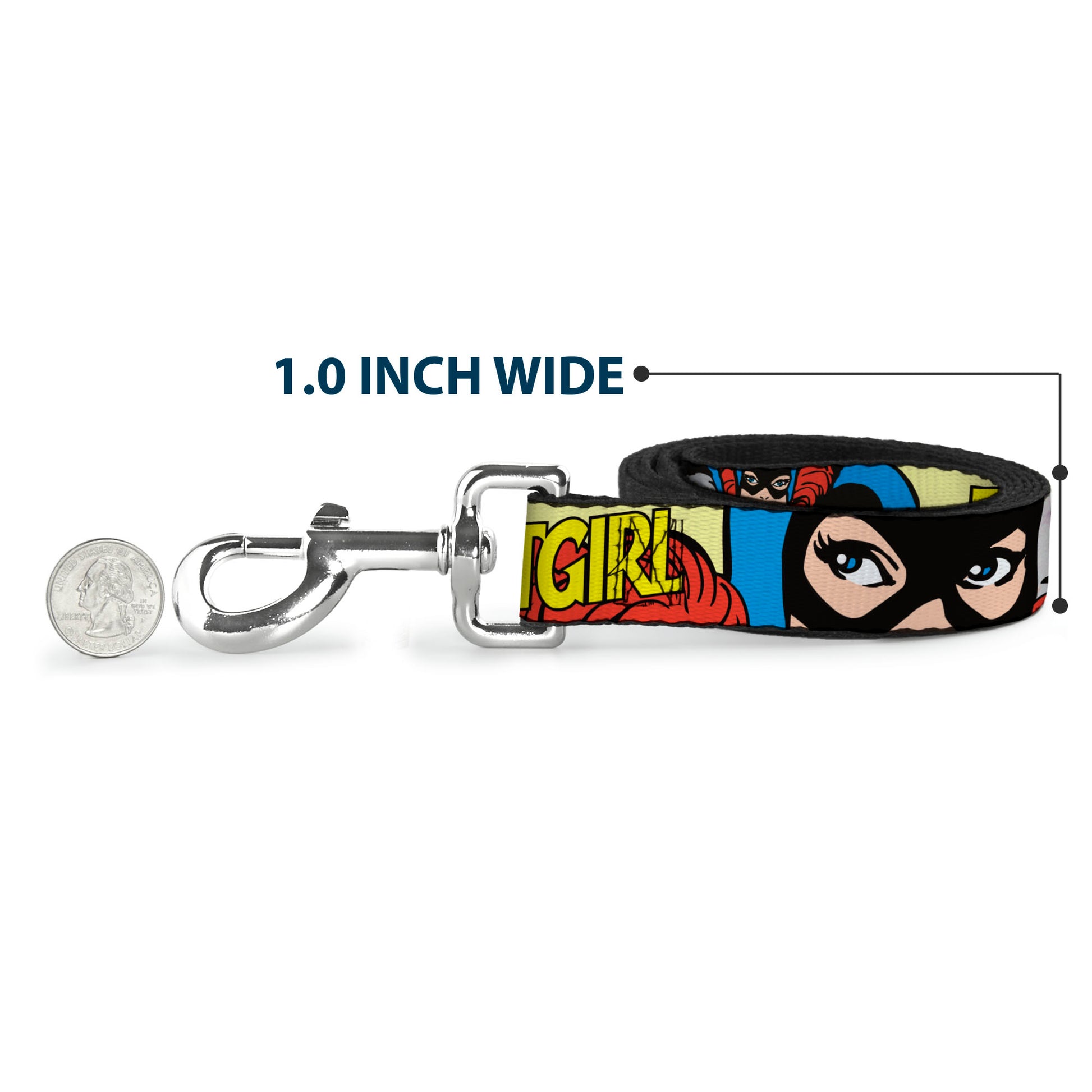 Dog Leash - BATGIRL in Action w/Face CLOSE-UP Dog Leashes DC Comics