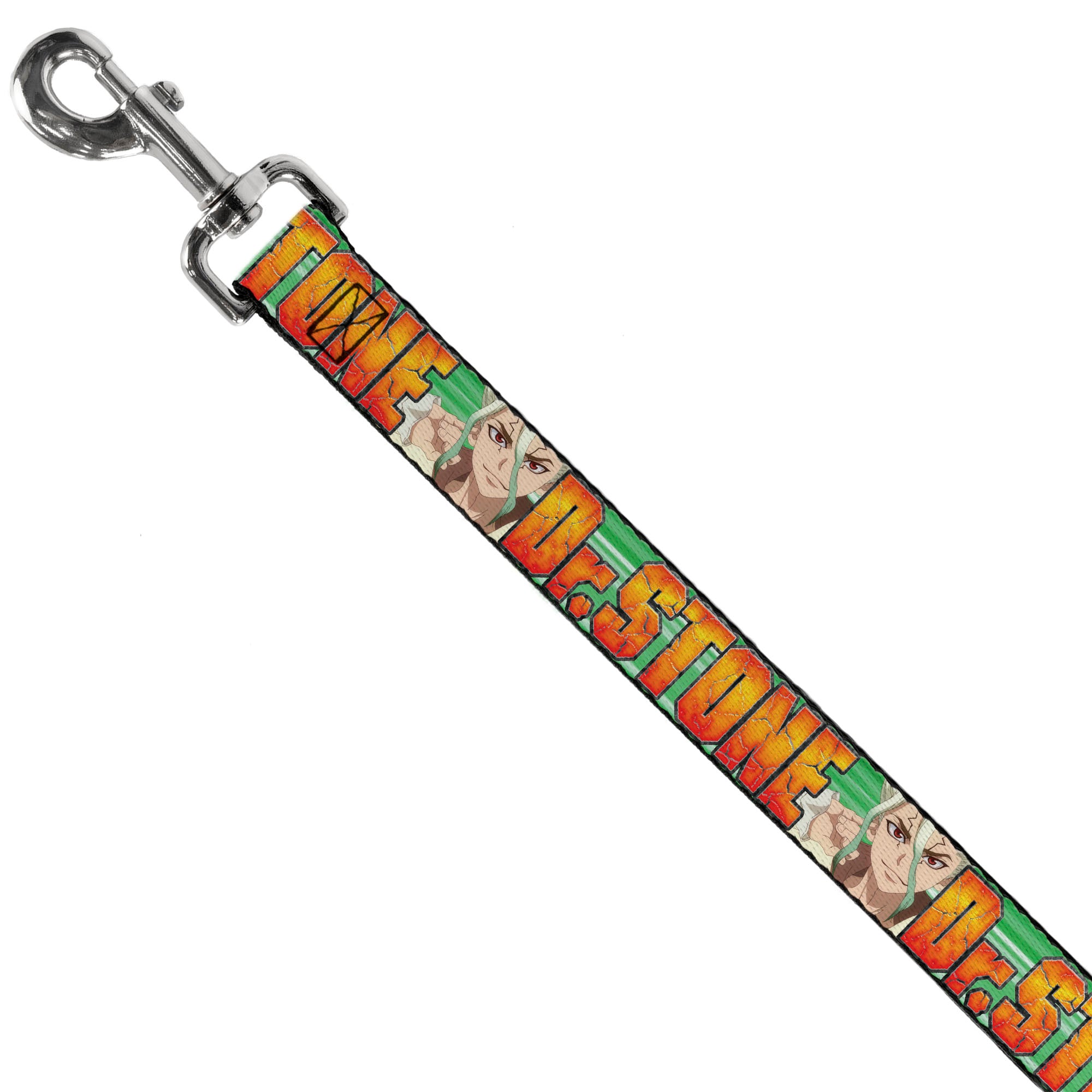 Dog Leash - DR. STONE Title Logo and Suika Face Close-Up Greens Dog Leashes Dr. Stone