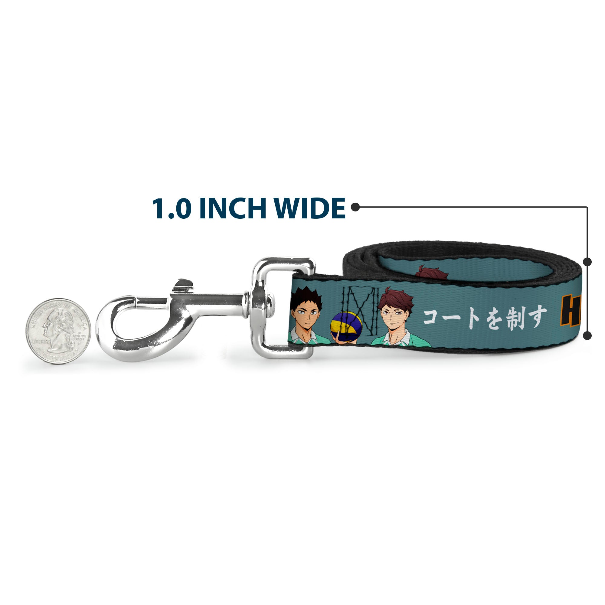 Dog Leash - HAIKYU Iwaizumi and Oikawa Control the Court Pose and Title Logo Blue Dog Leashes Haikyu!!