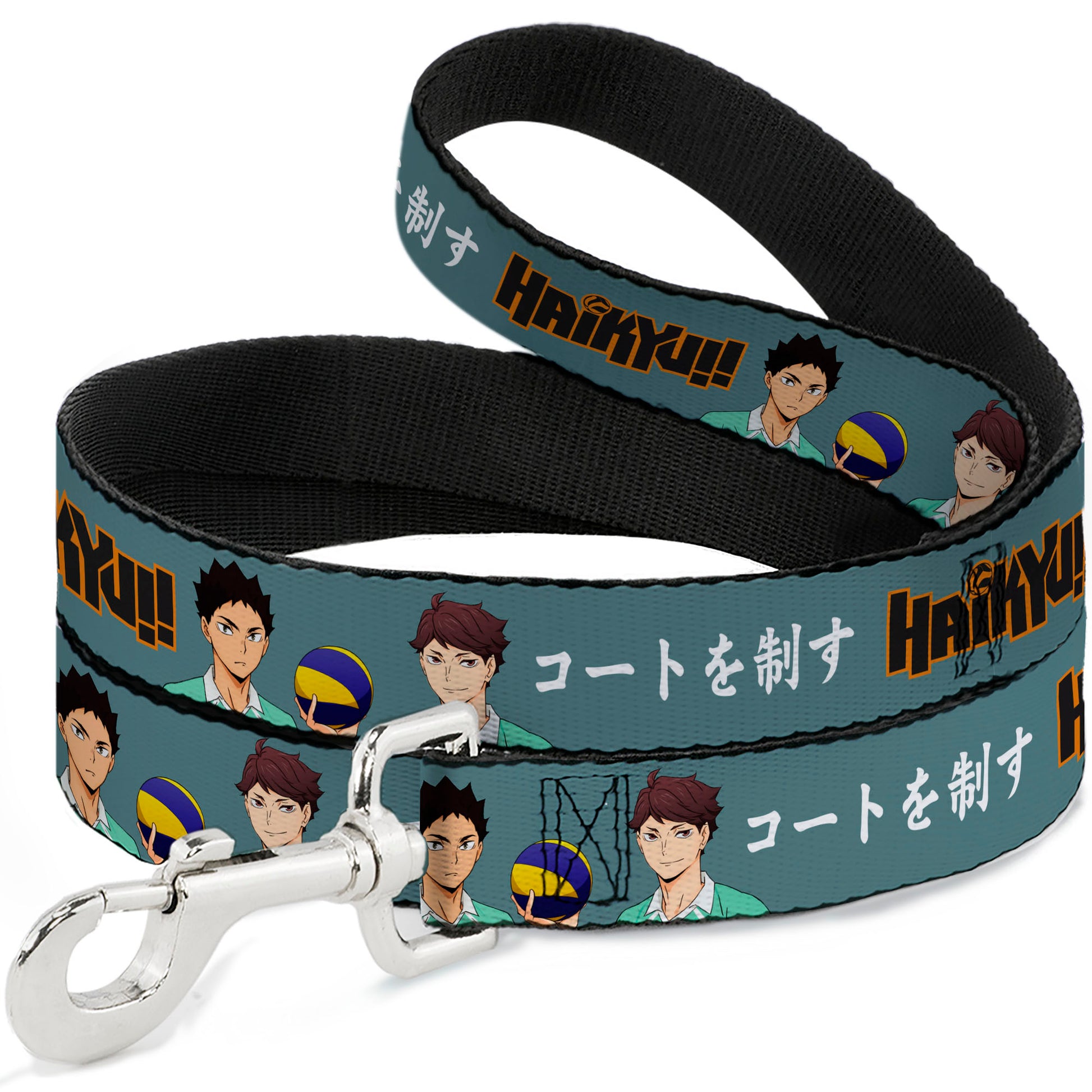 Dog Leash - HAIKYU Iwaizumi and Oikawa Control the Court Pose and Title Logo Blue Dog Leashes Haikyu!!