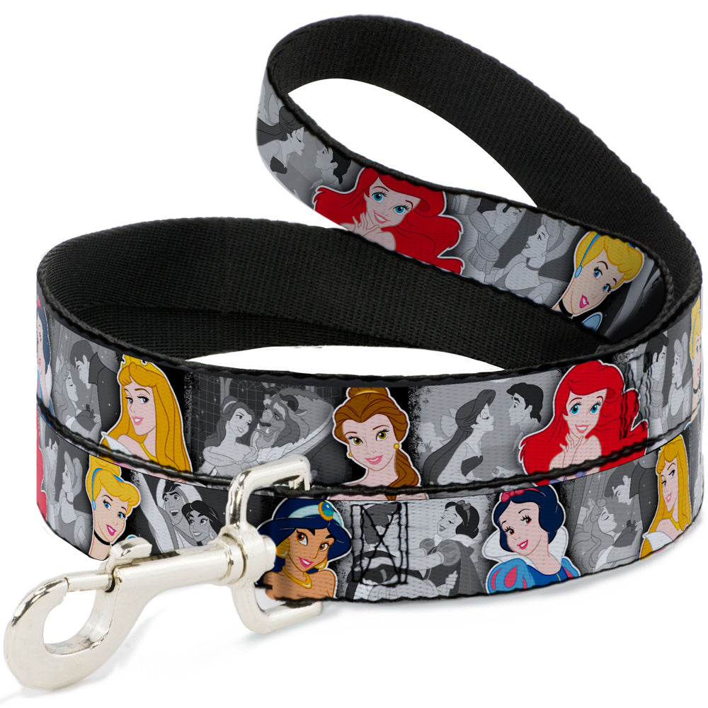 Dog Leash - Princess Pose/Princess & Prince Scene Grays/Multi Color Dog Leashes Disney