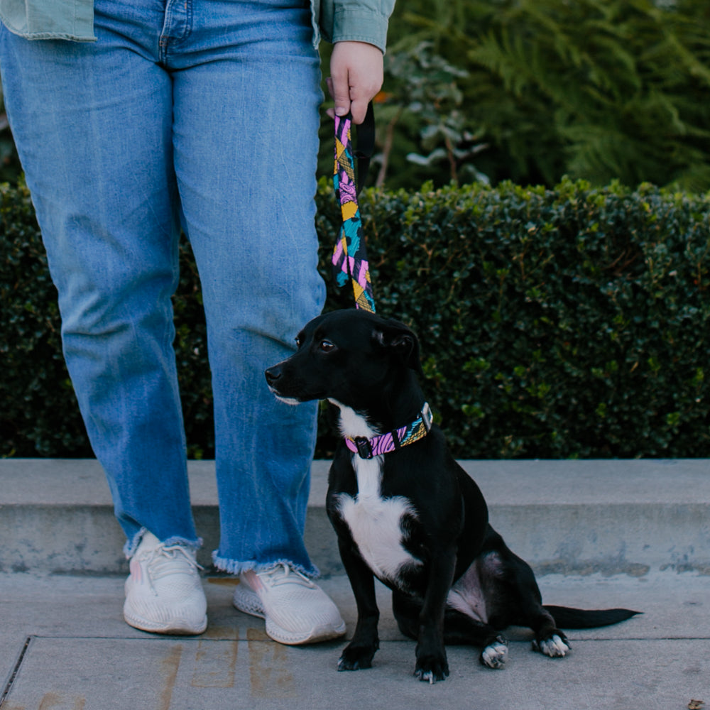 Dog Leash - Nightmare Before Christmas Sally Dress Patchwork Dog Leashes Disney