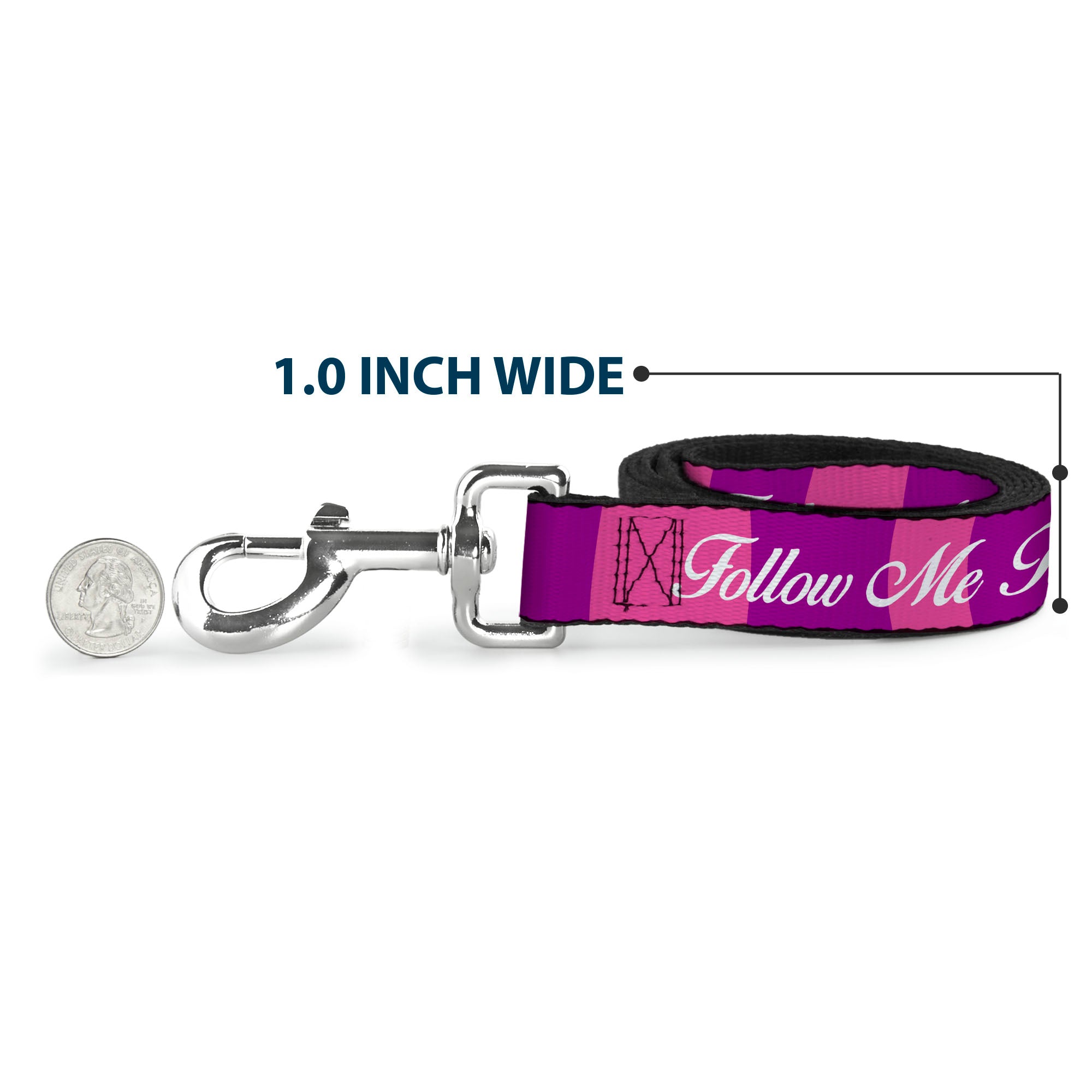 Dog Leash - Cheshire Cat Stripe/FOLLOW ME TO WONDERLAND Pink/Purple/White Dog Leashes Disney