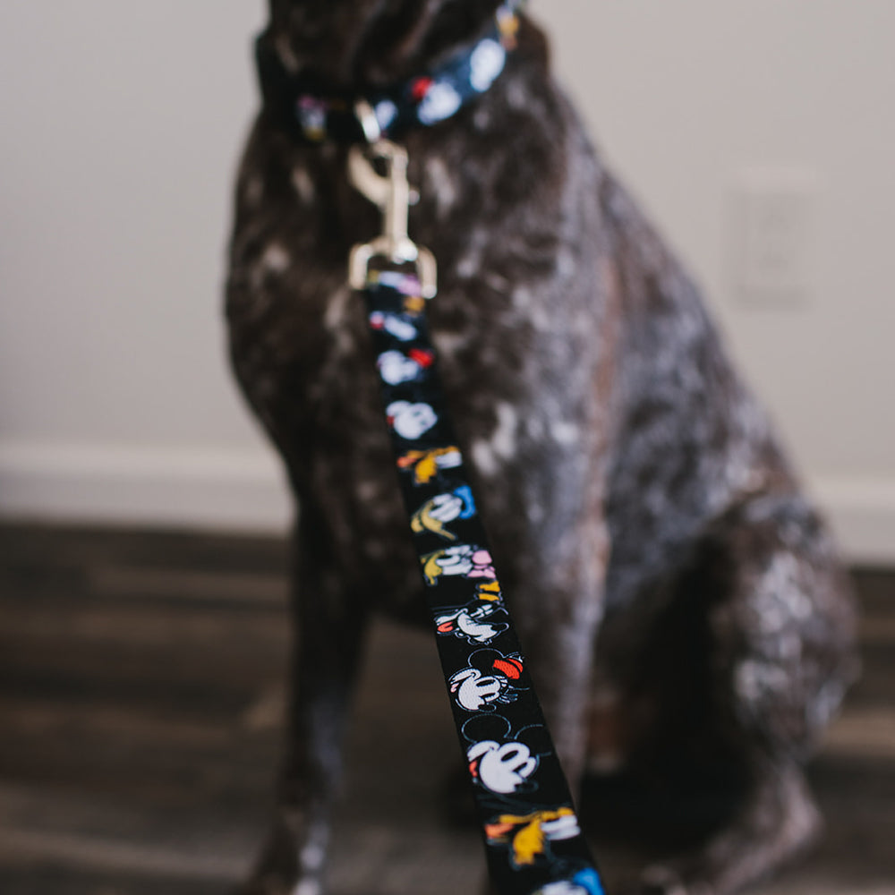Dog Leash - Disney The Sensational Six Smiling Faces Black Dog Leashes Disney