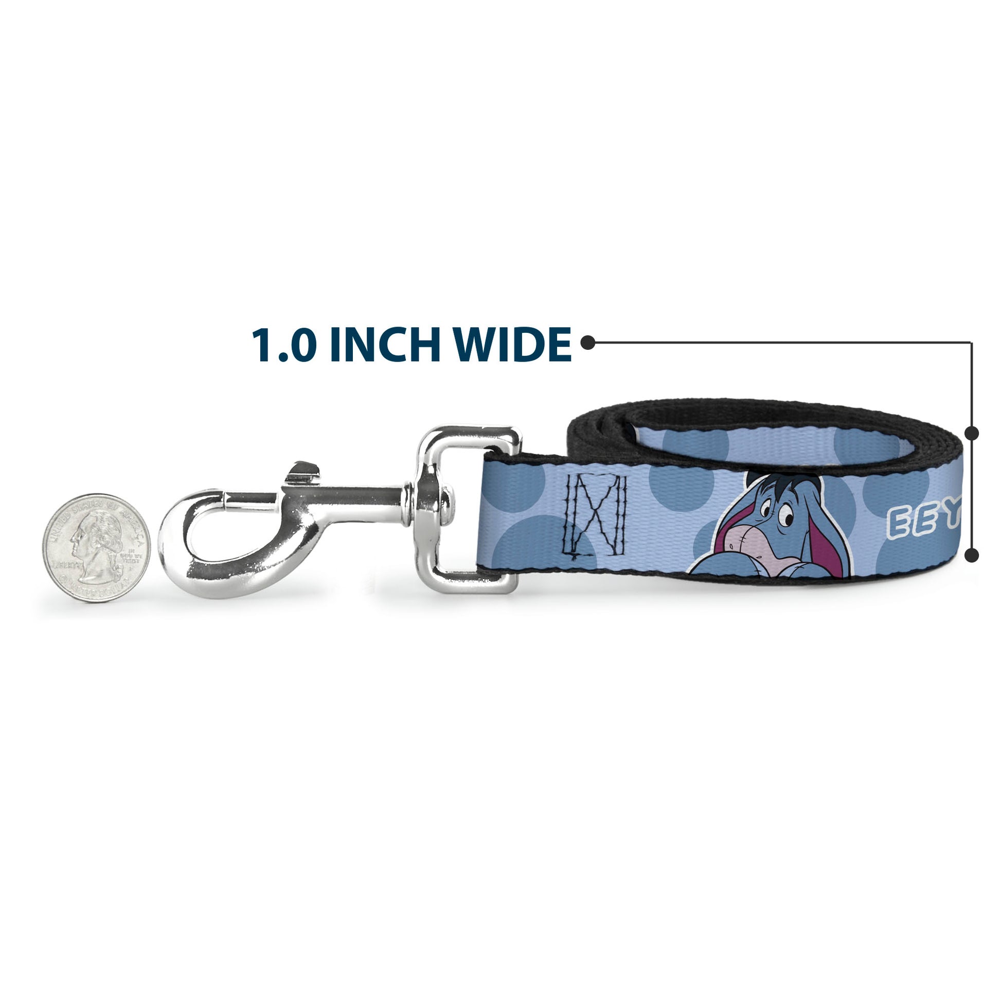 Dog Leash - Winnie the Pooh Eeyore Text and Expression Close-Up Dot Blues Dog Leashes Disney