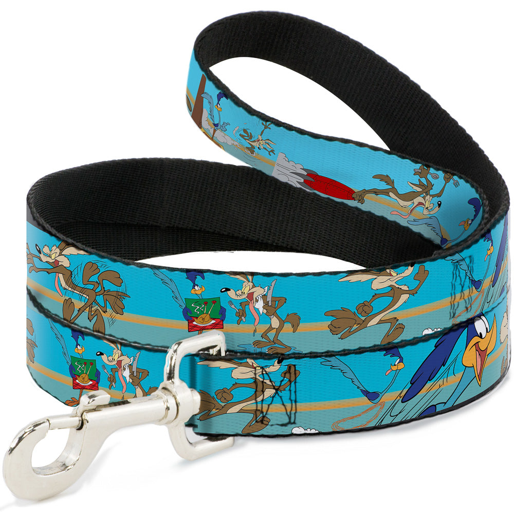 Dog Leash - Road Runner/Wile E. Coyote Scene2 Desert Dog Leashes Looney Tunes