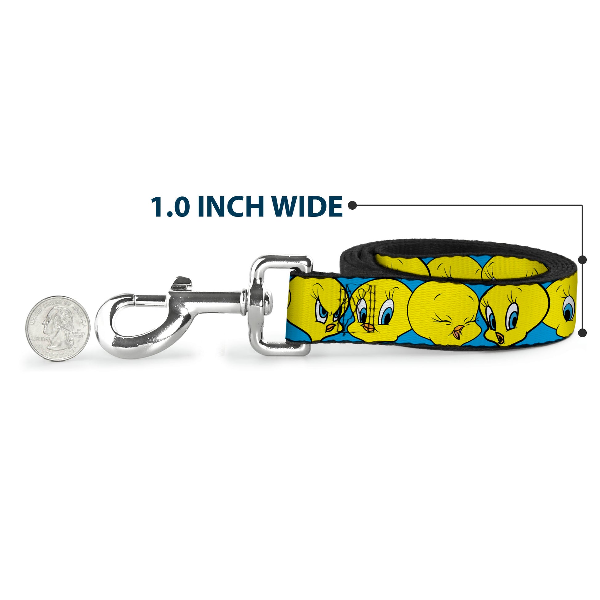 Dog Leash - Tweety Bird CLOSE-UP Expressions Baby Blue Dog Leashes Looney Tunes