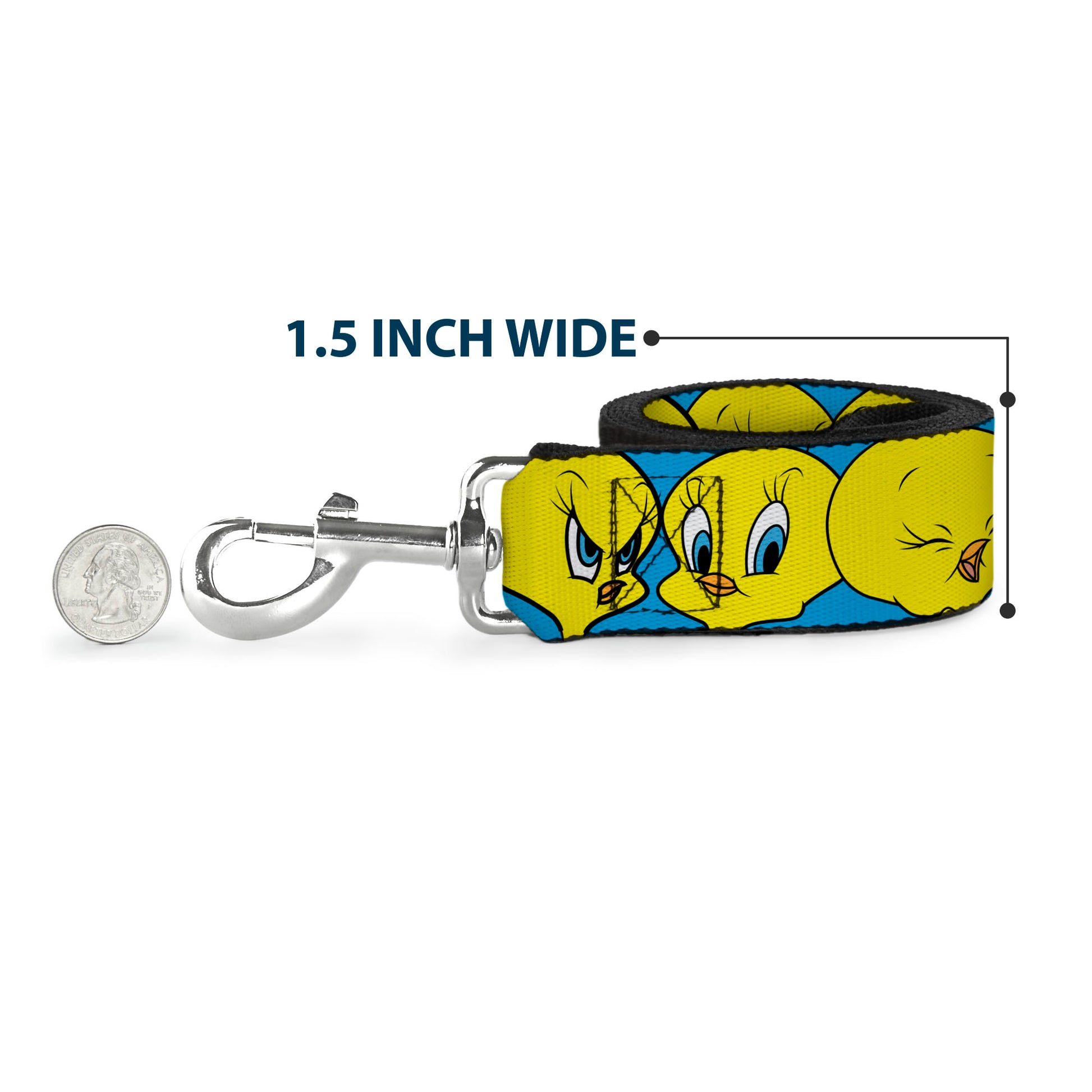 Dog Leash - Tweety Bird CLOSE-UP Expressions Baby Blue Dog Leashes Looney Tunes